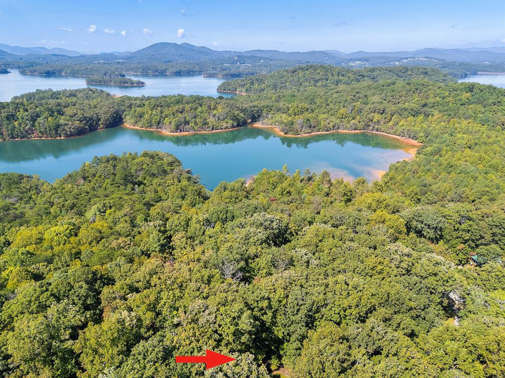 56th image of 571 Shady Grove Ln, Hayesville, NC 28904 | MLS# 98544589