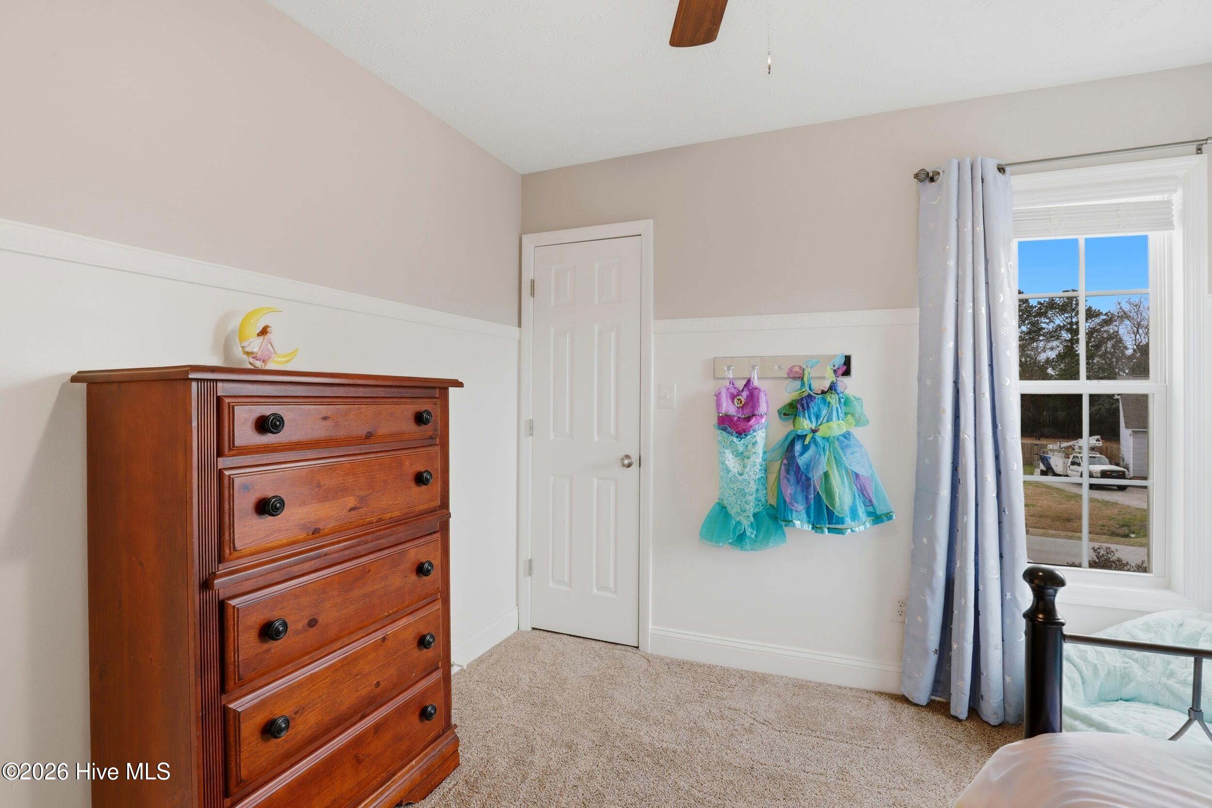 100558119 | Photo 29