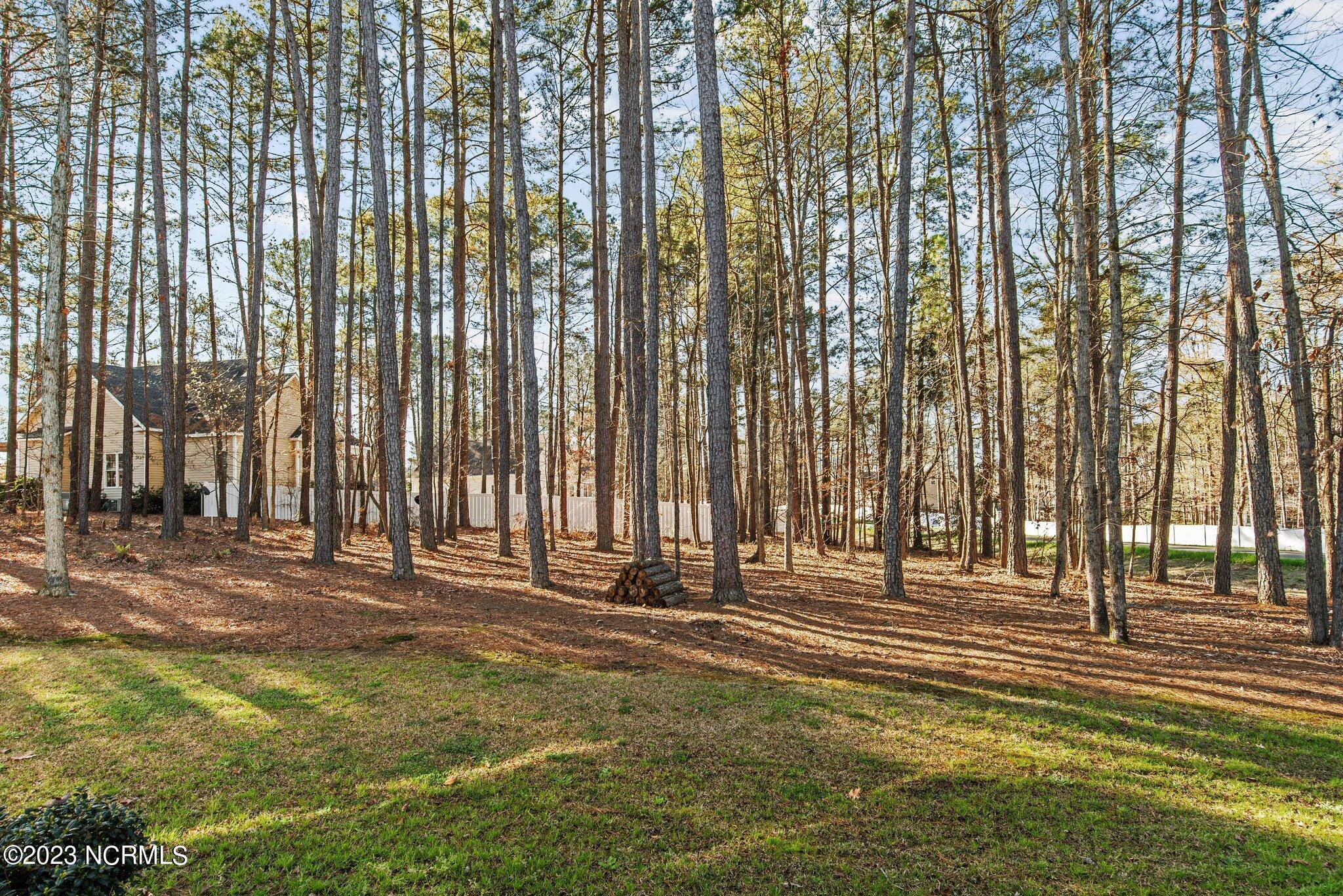 4523 Dayspring Drive