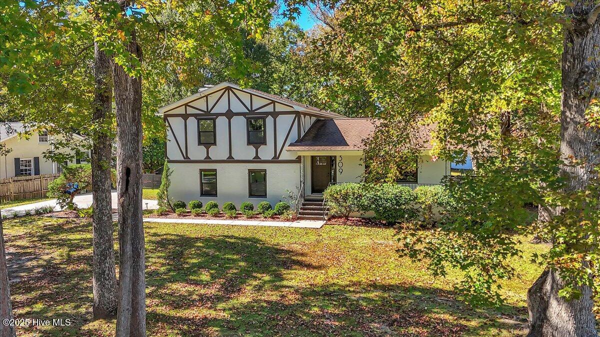 100540013 | Photo 51