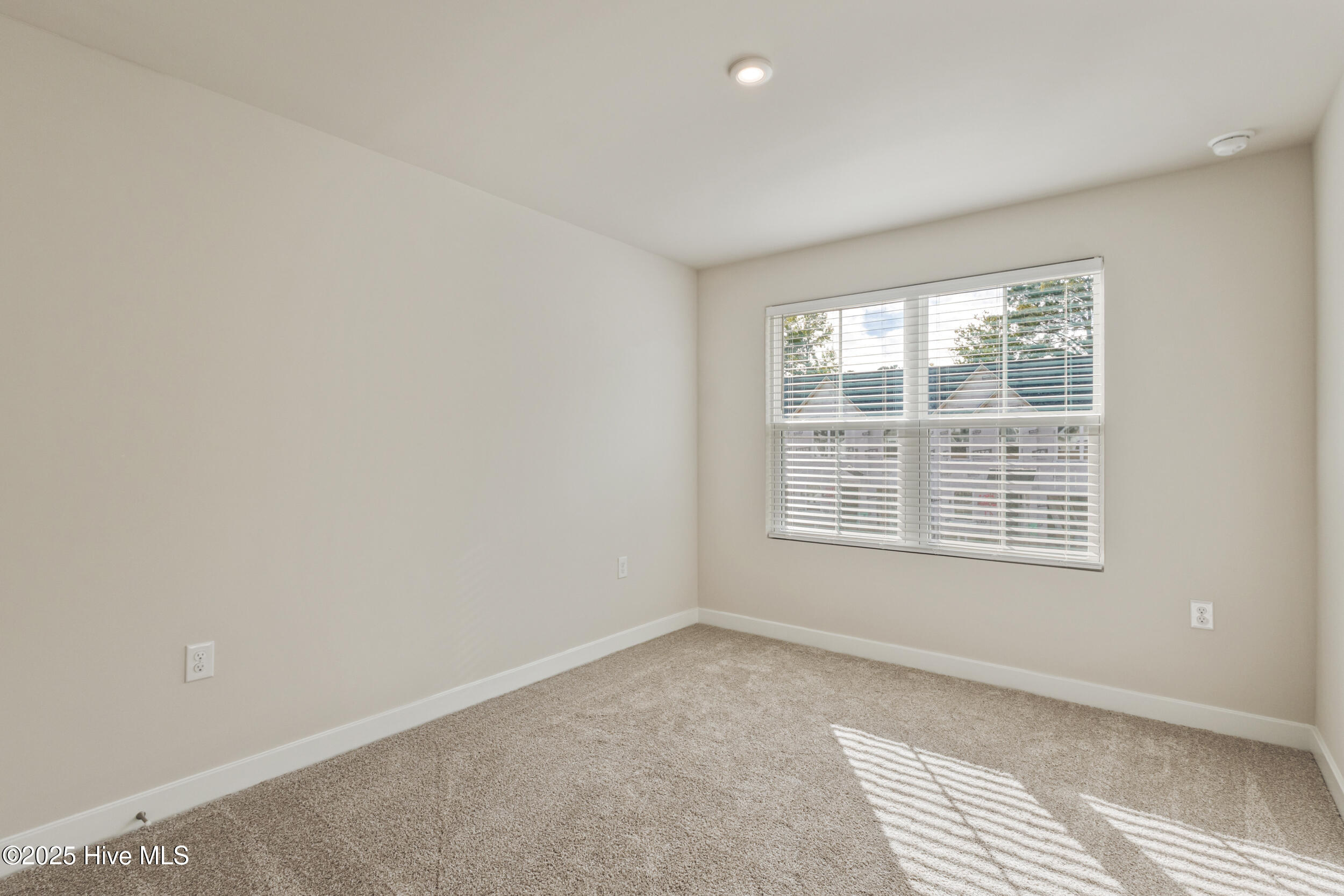 100537228 | Photo 26