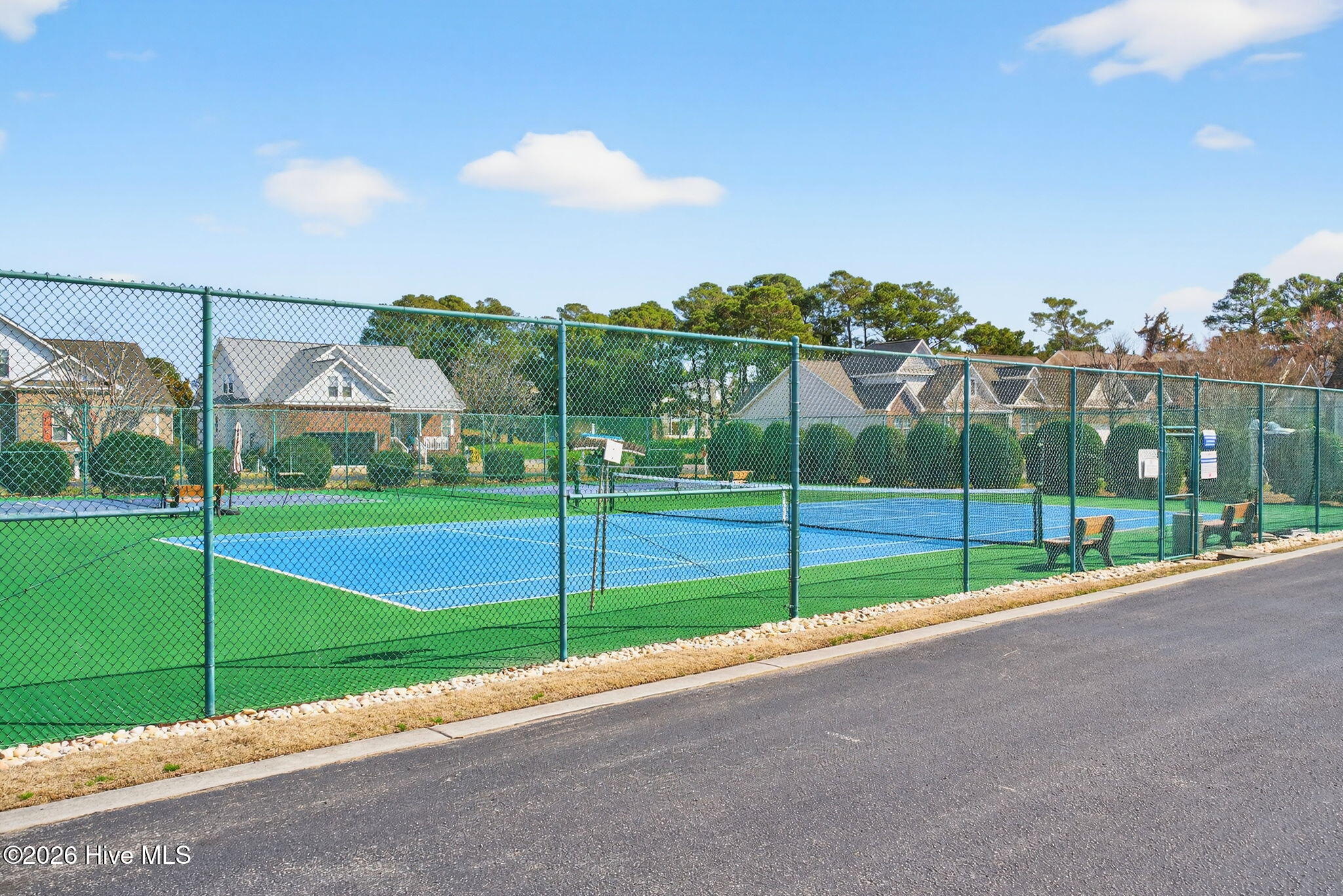 100558158 | Photo 42