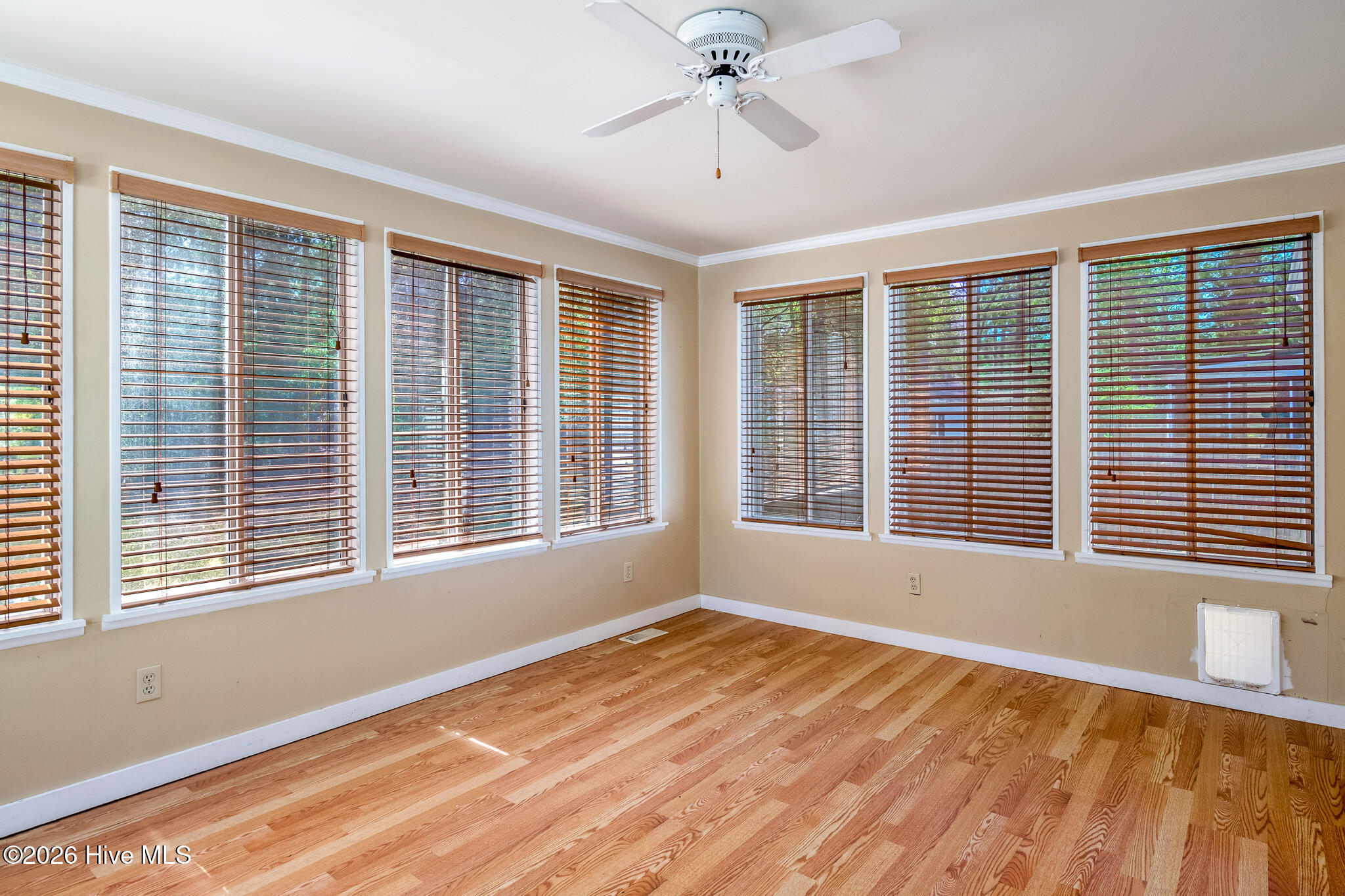 100567029 | Photo 15