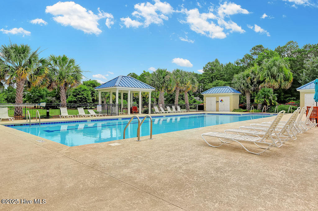 100497917 | Photo 37