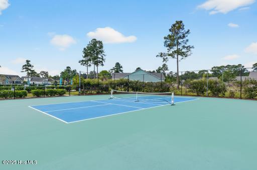 100491701 | Photo 50