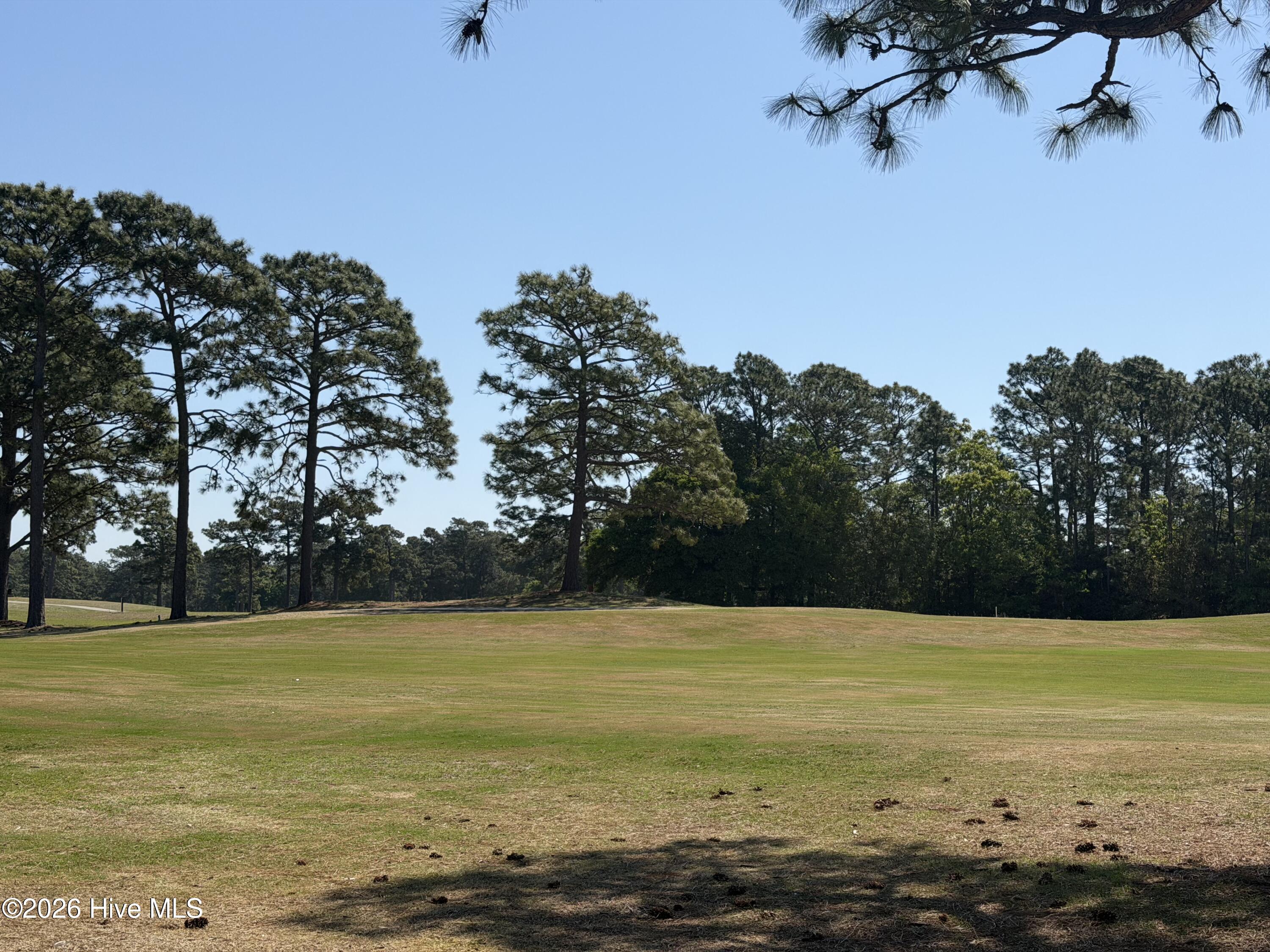 100568393 | Photo 64