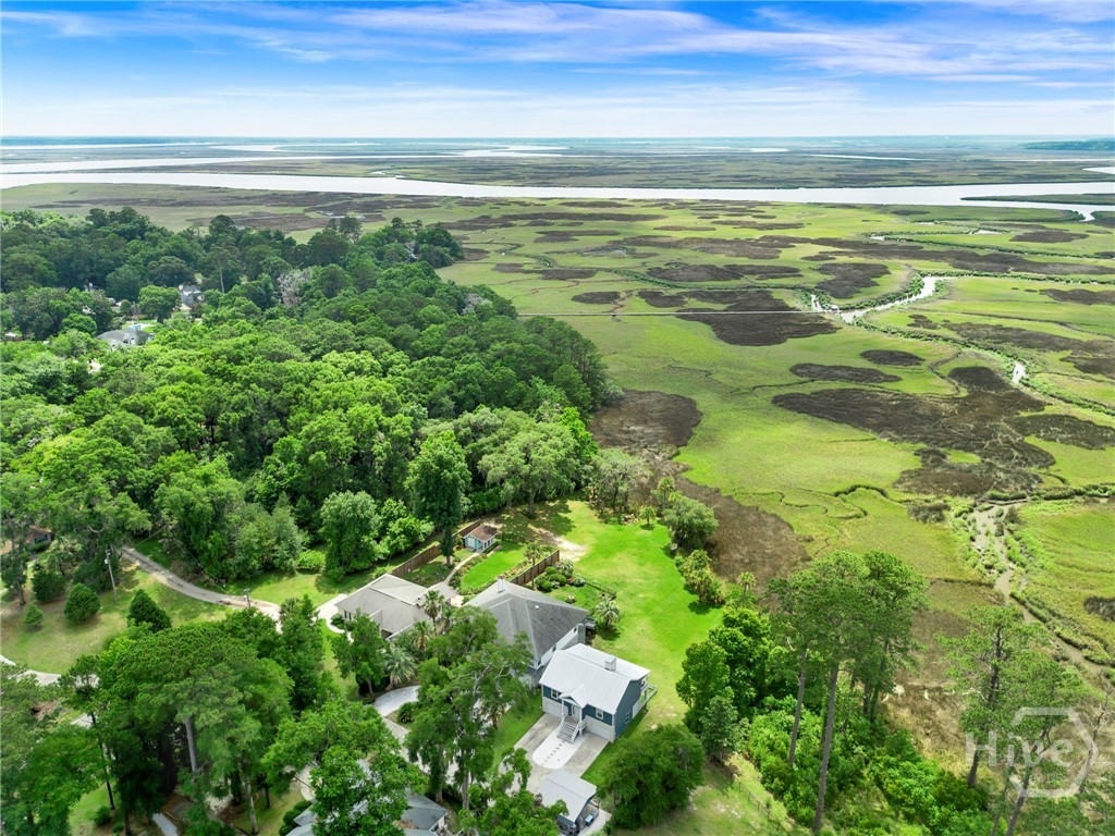 374 Coffee Bluff Villa Road, Savannah, GA 31419 Listing Photo  2
