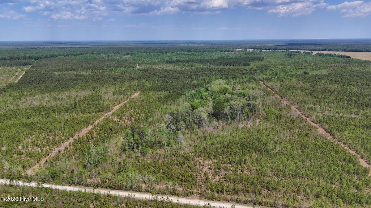 0 Guinea Mill Road, Ernul, NC, 28527