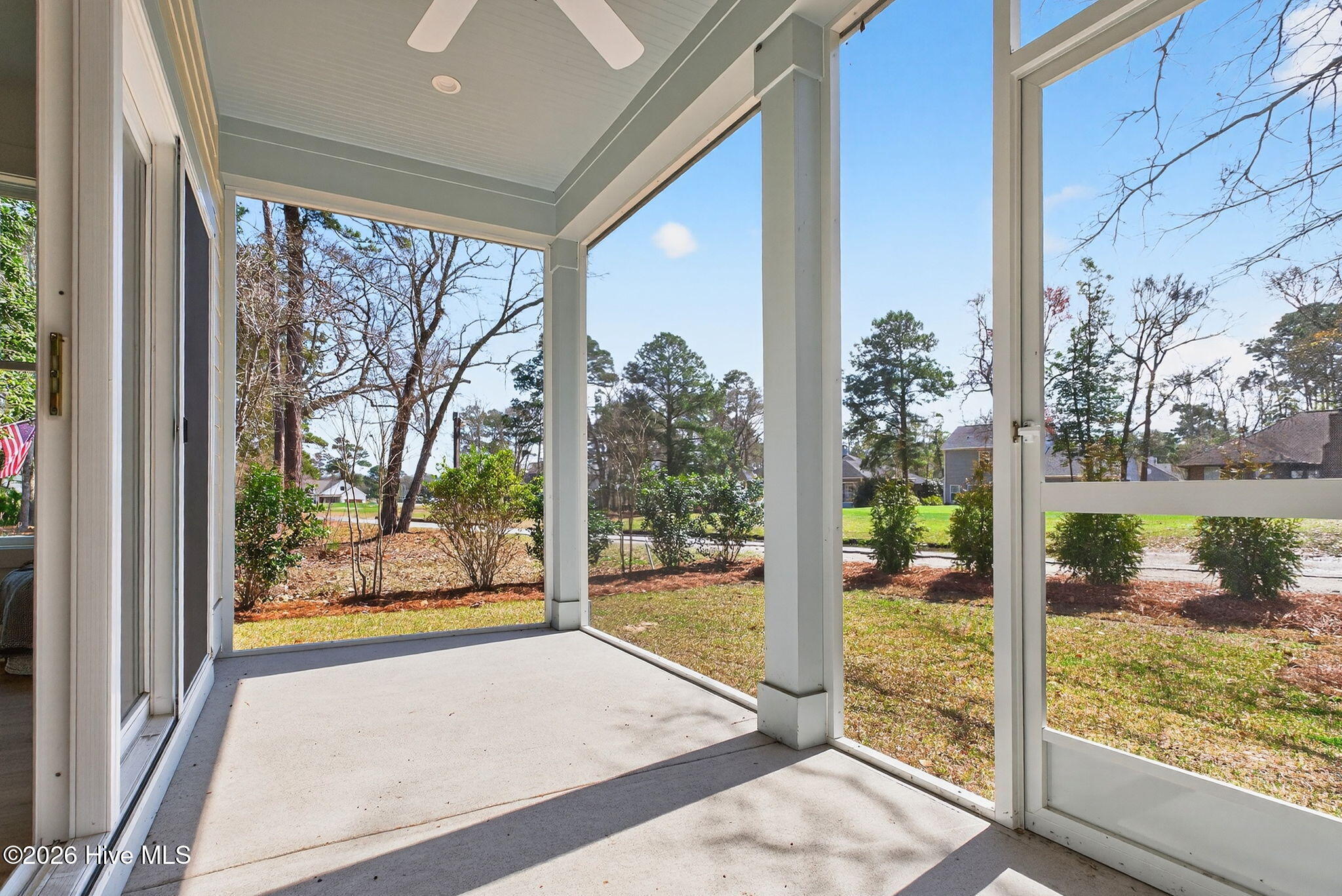 100559377 | Photo 35