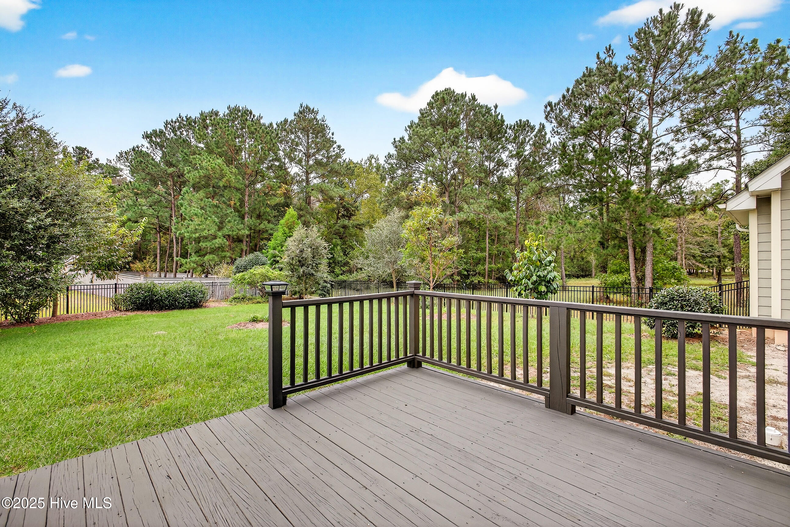 100534677 | Photo 50