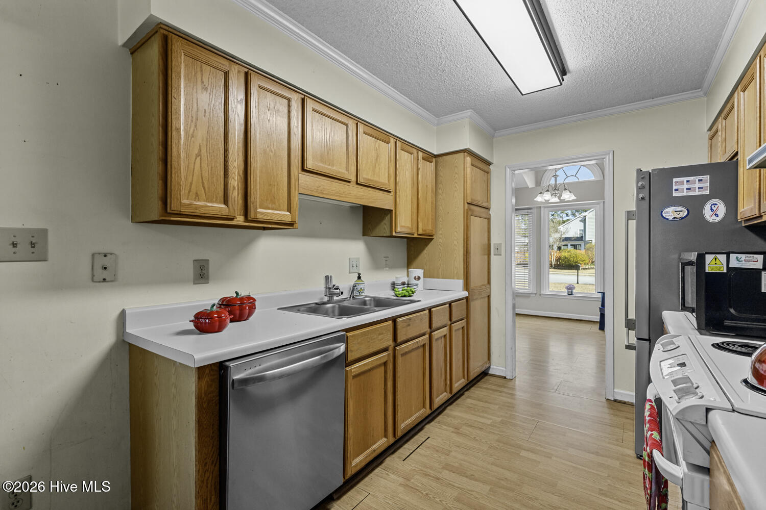 100554638 | Photo 15