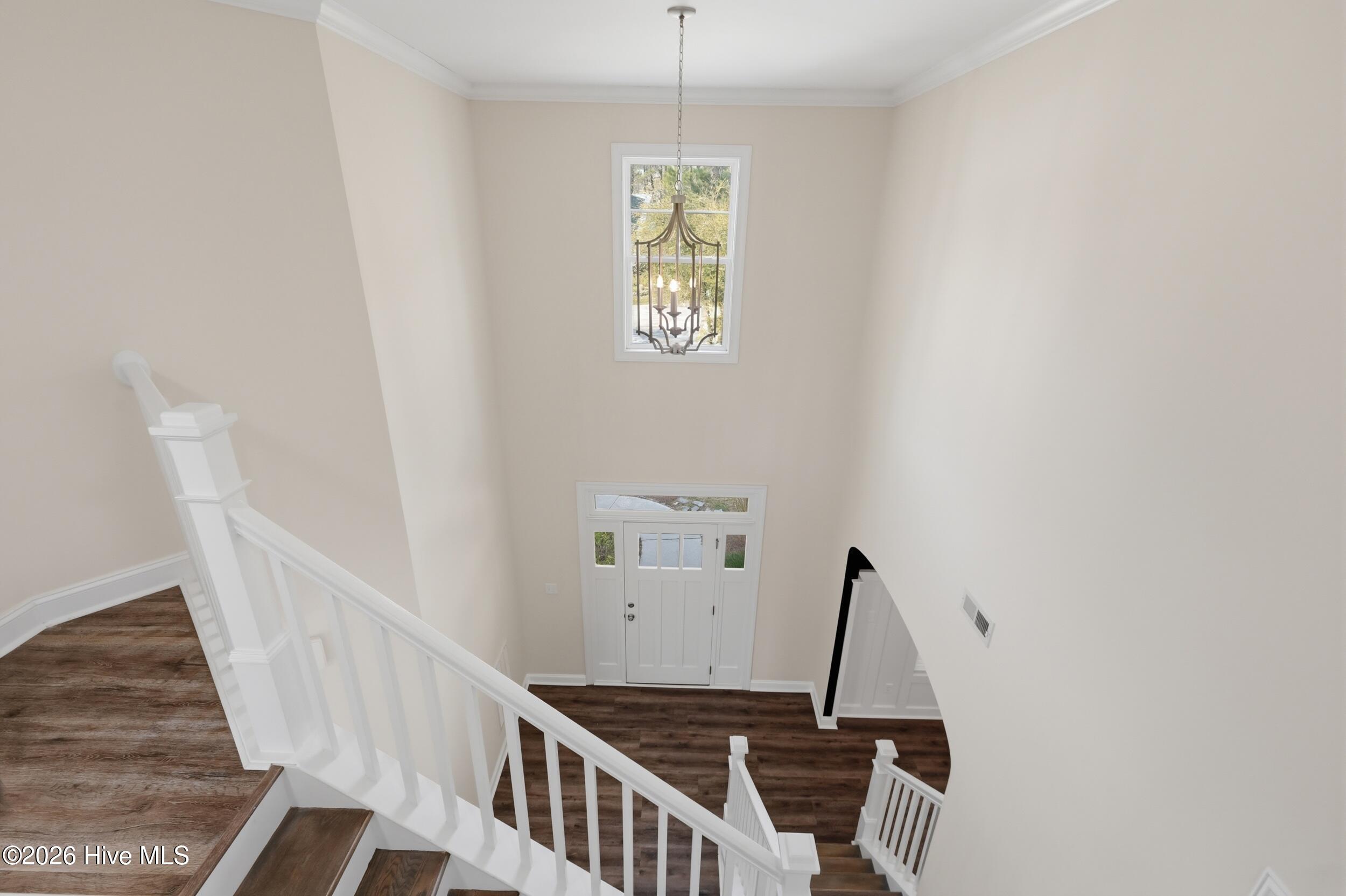 100564120 | Photo 31