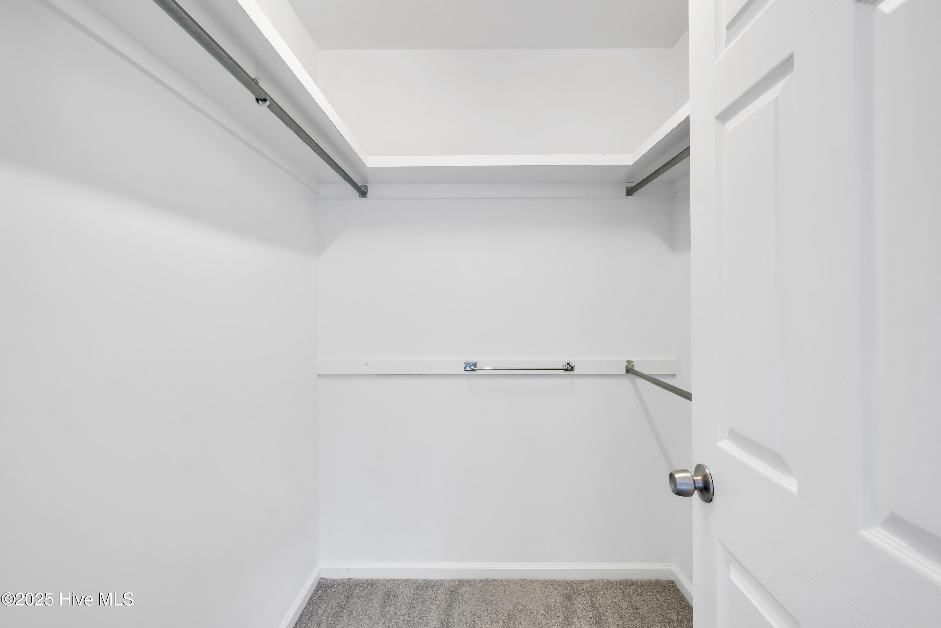 100539794 | Photo 16