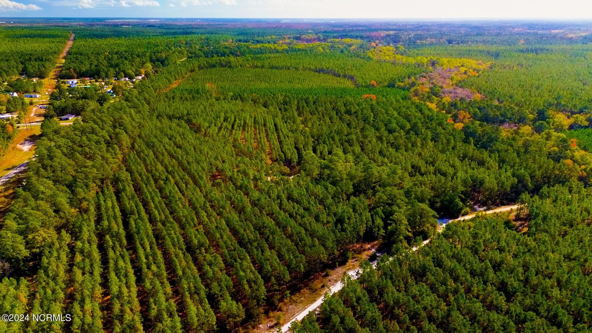 100429451 | Photo 10