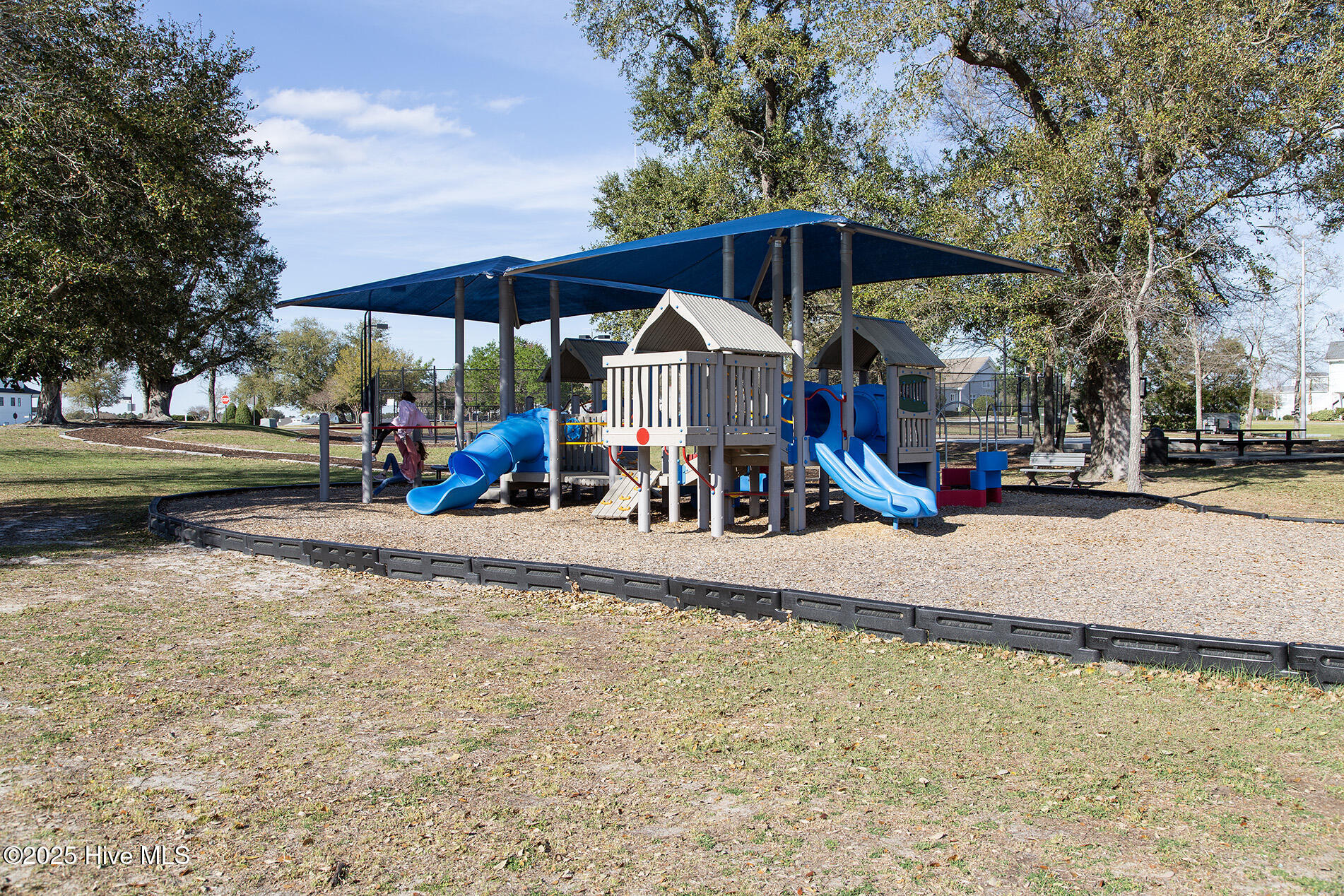 100484964 | Photo 61