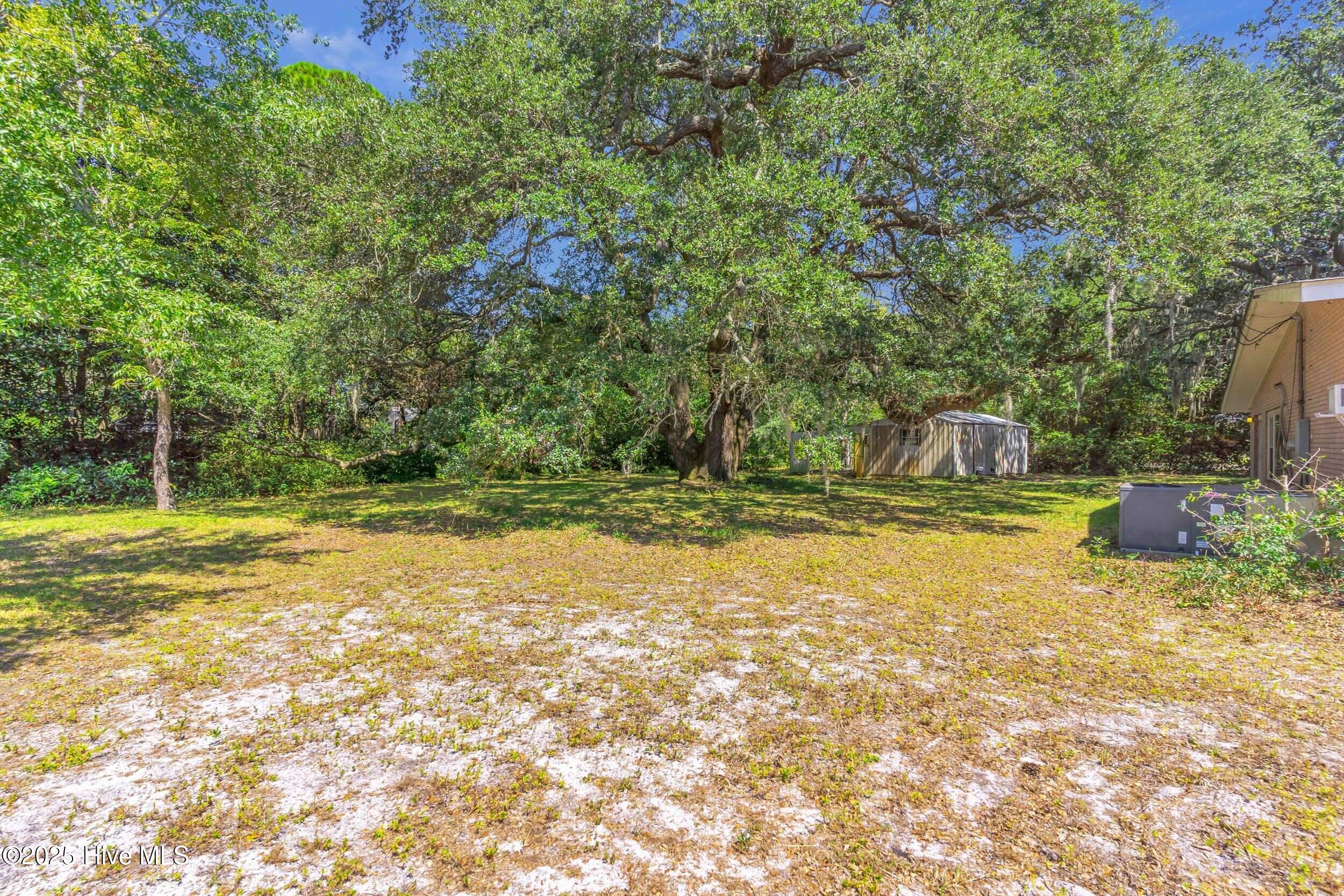 100532133 | Photo 45