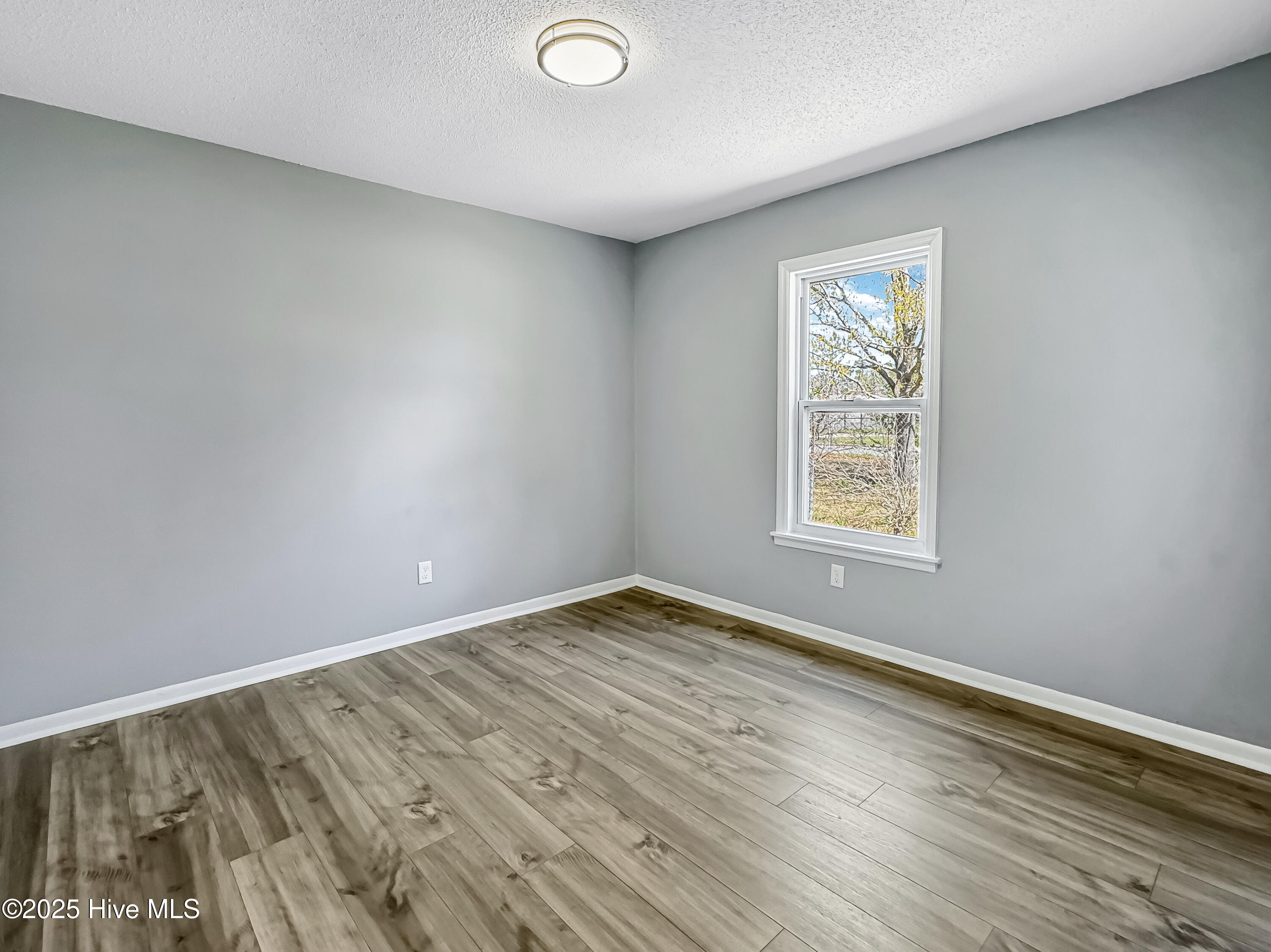 1602 Forbes Court, Wilmington, NC 28405 – photo 15: 06fe59255b65606b9d7e9bbe318d4e92c9a751f8