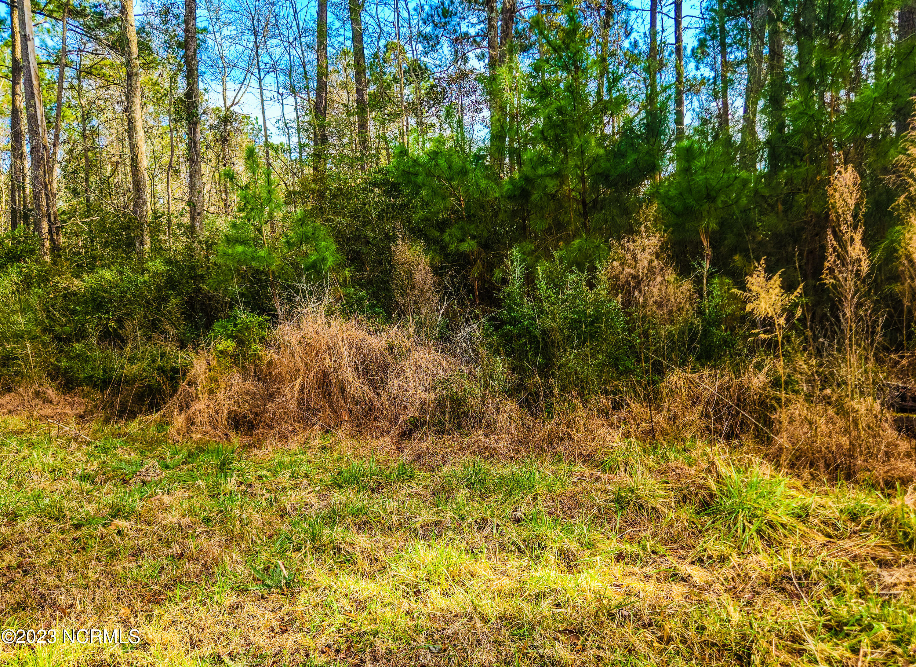 153 3 pics Oswell B_edited 2 2