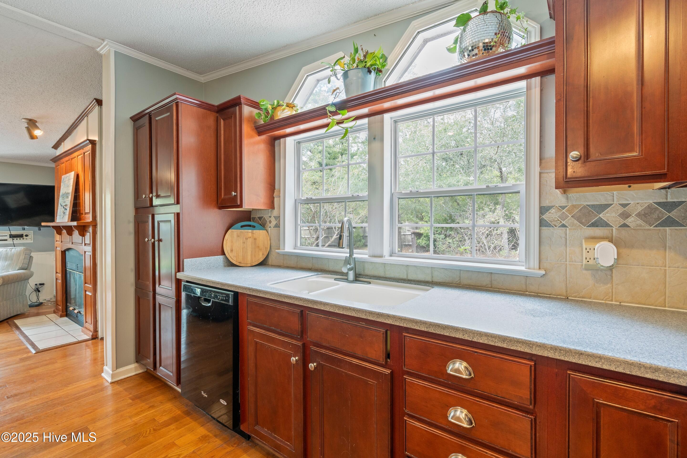 100535667 | Photo 18