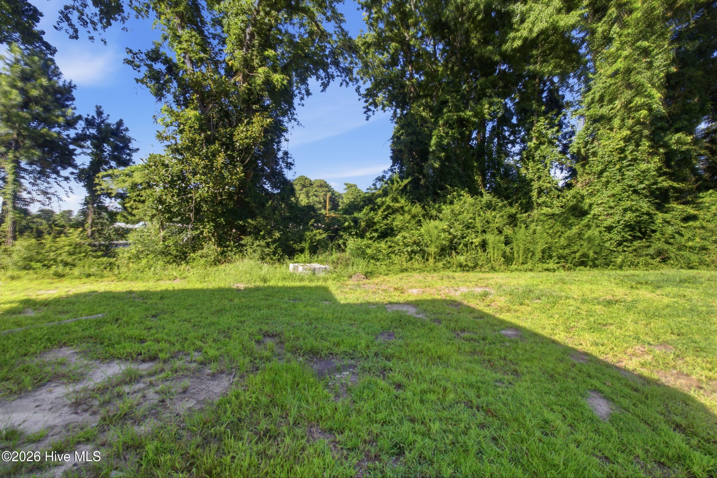 310 Camp Creek Drive,Oriental