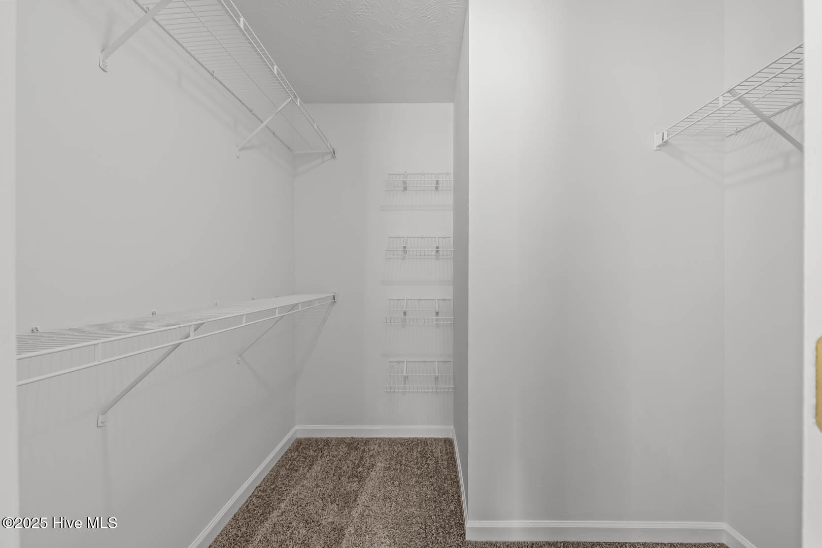 100538607 | Photo 42