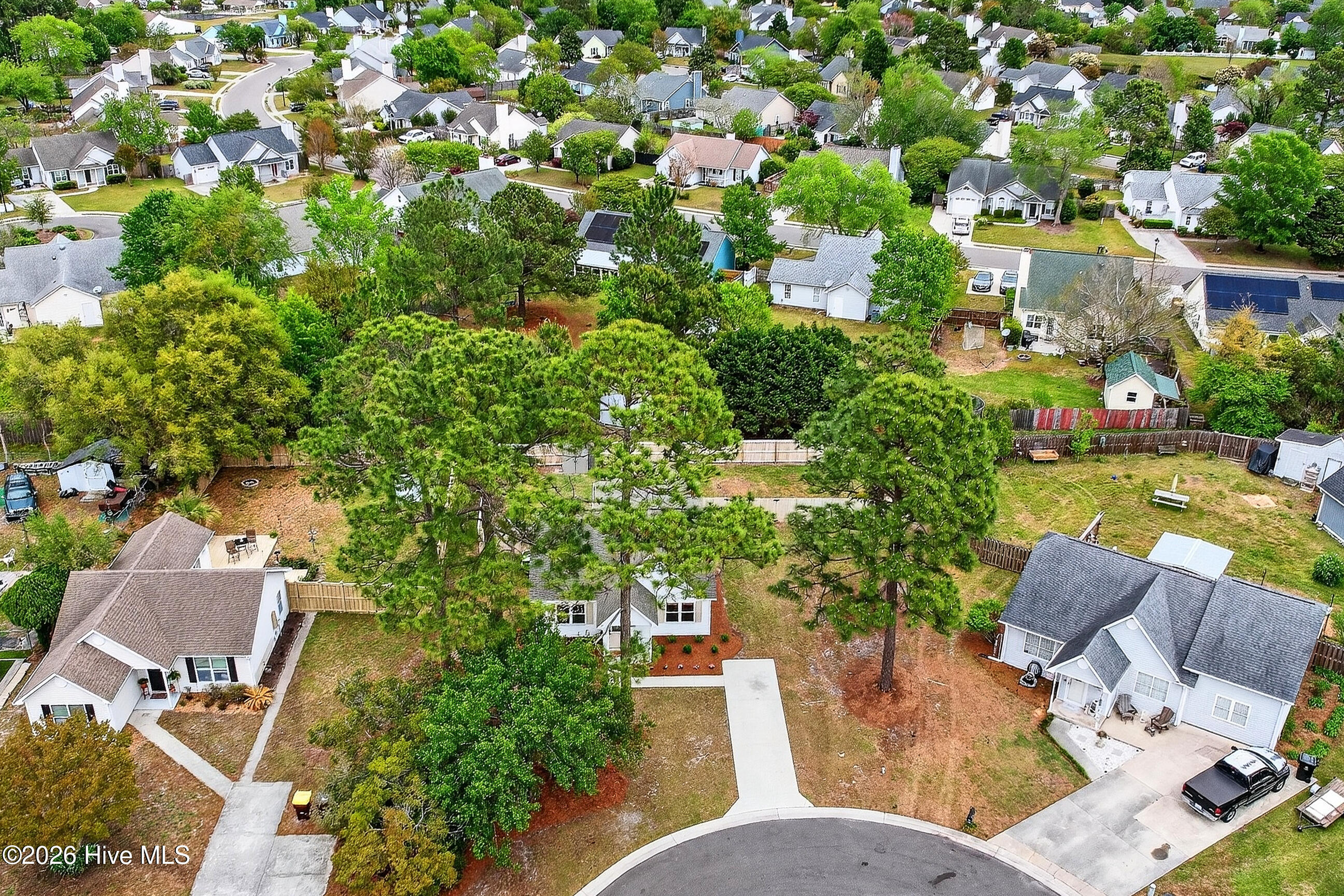 100566396 | Photo 33