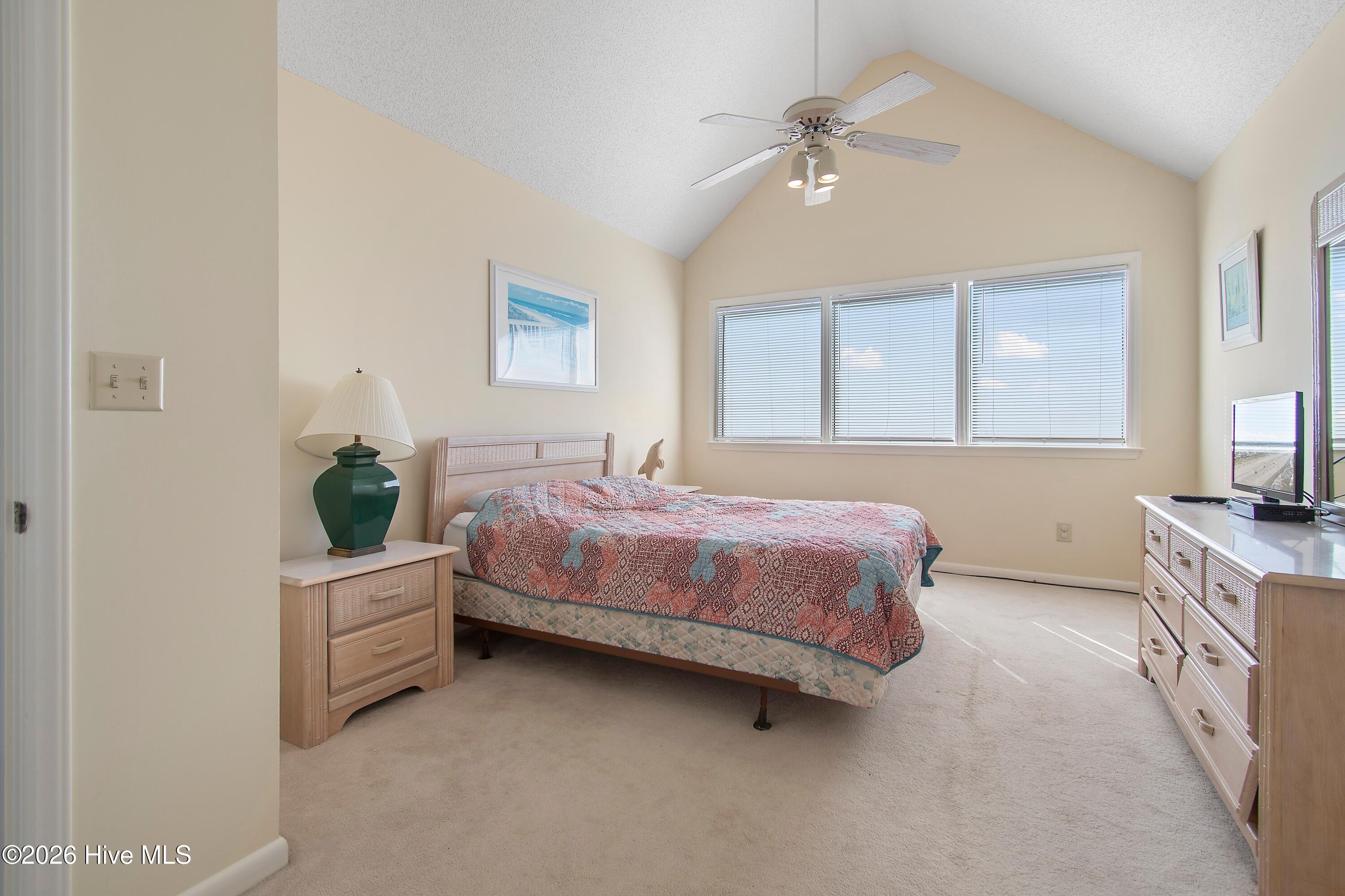 100558729 | Photo 23