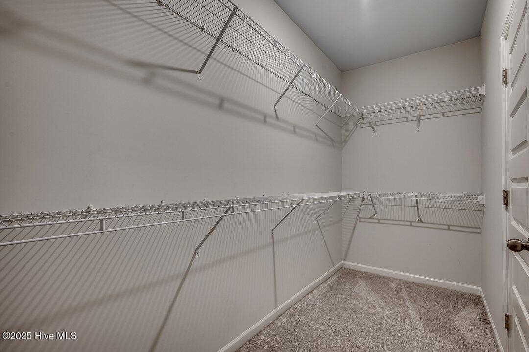 100527504 | Photo 18