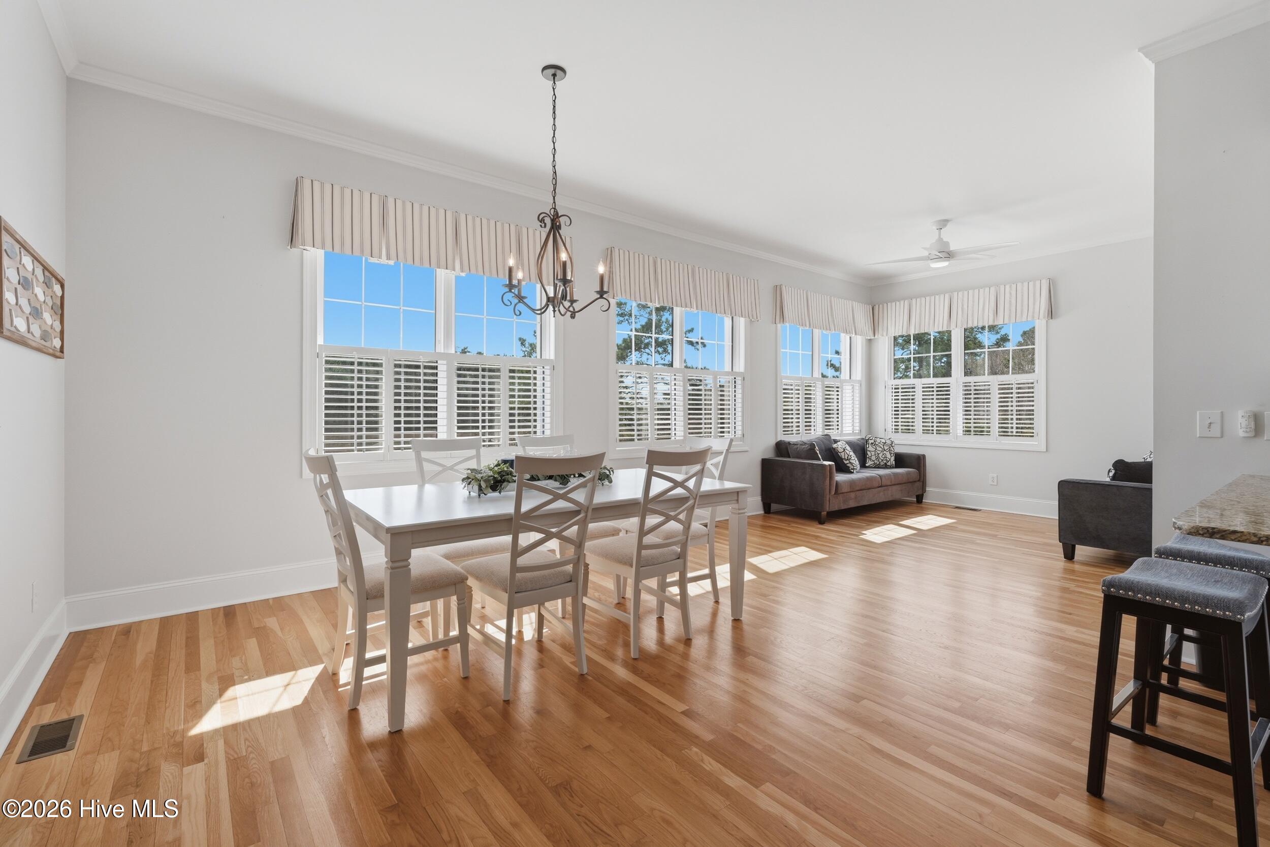 100559694 | Photo 16