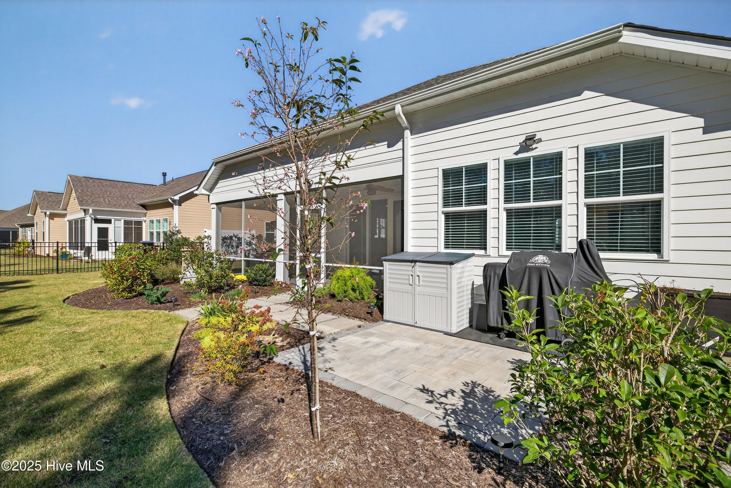 100538241 | Photo 35