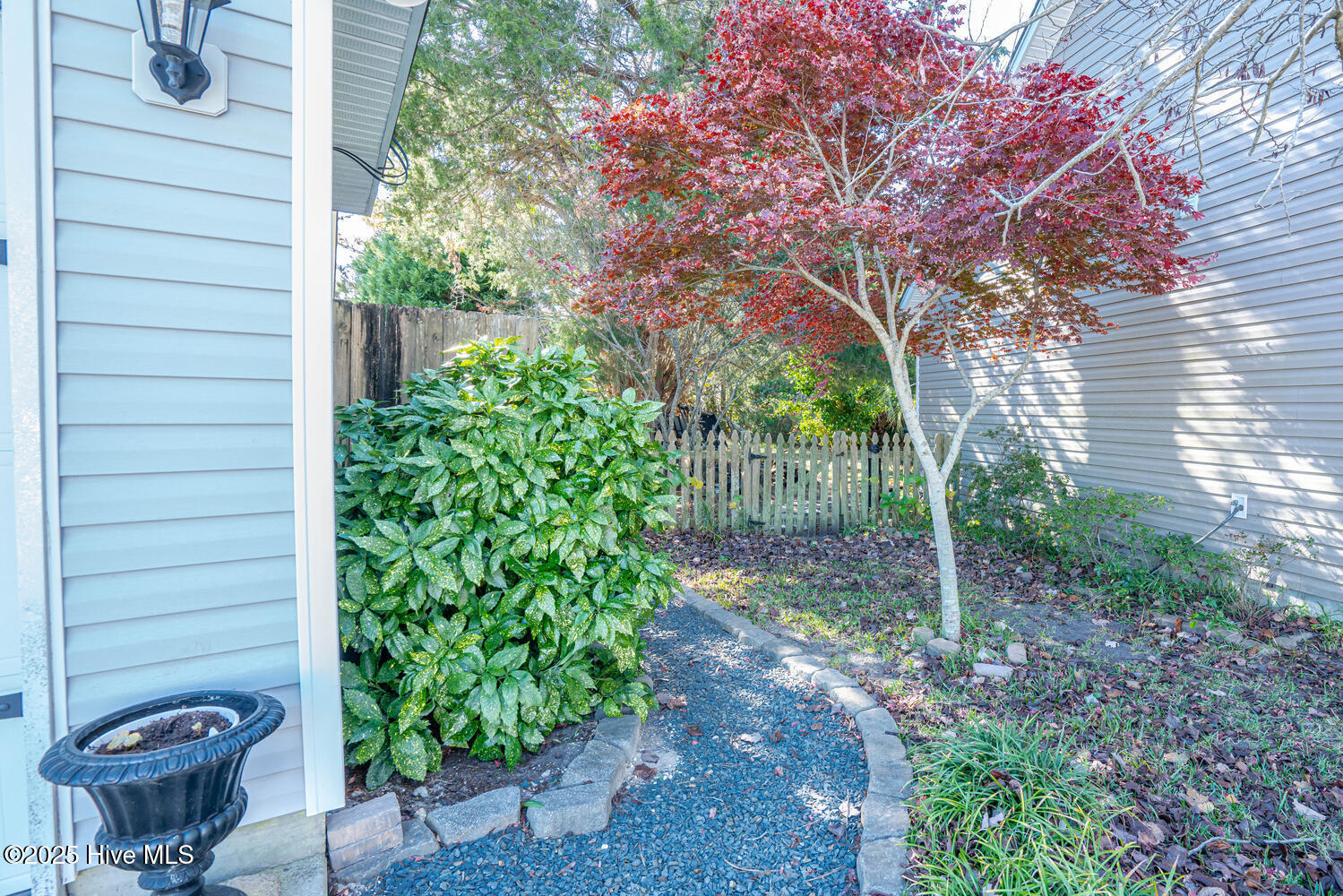 100542303 | Photo 38