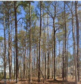 Homes for sale in Chocowinity, NC | 310 Choptank Dr, Chocowinity, NC 27817 | MLS# 100539619