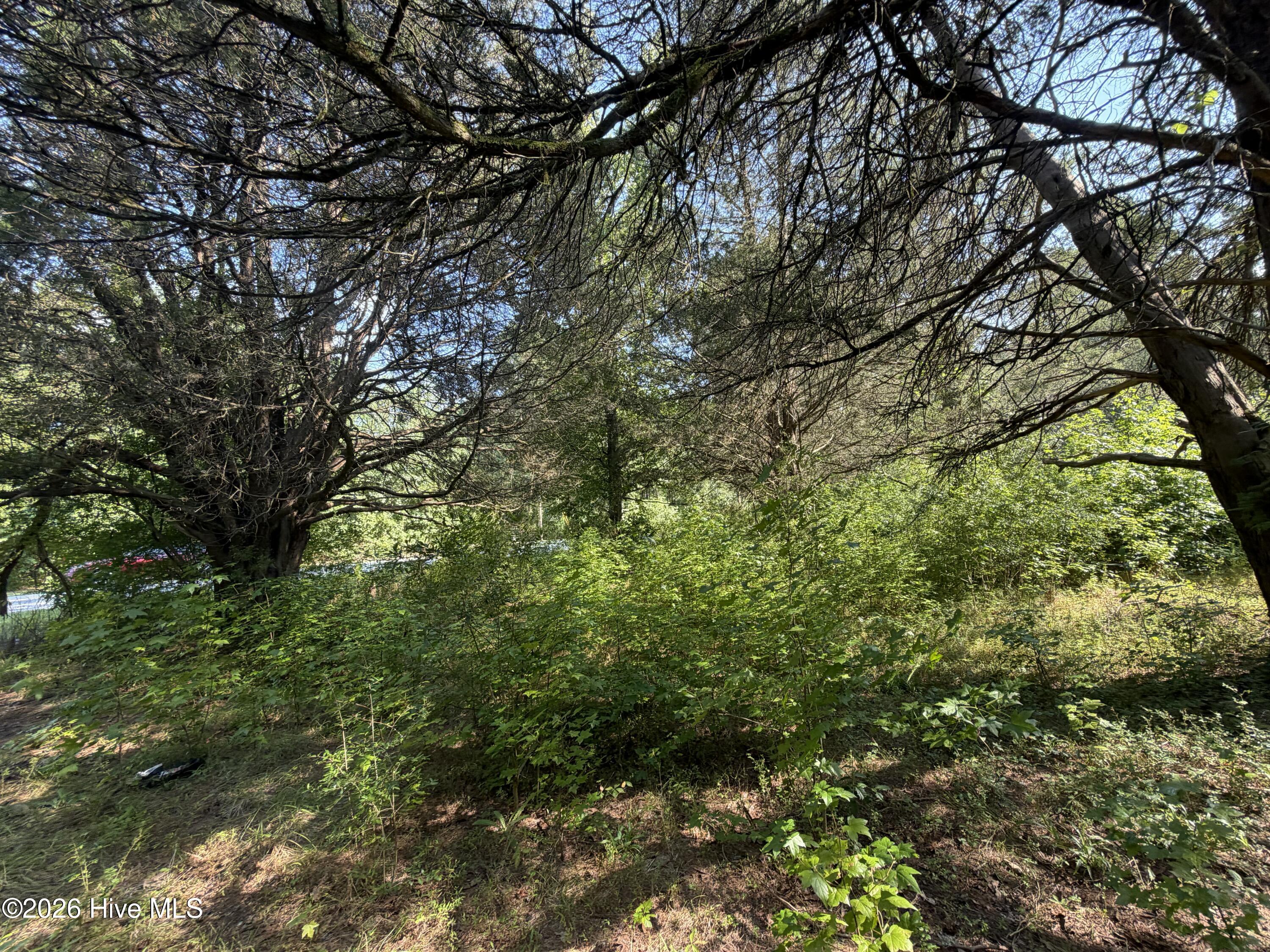 4th image of 809 Dry Monia Rd, New Bern, NC 28562 | MLS# 100596054