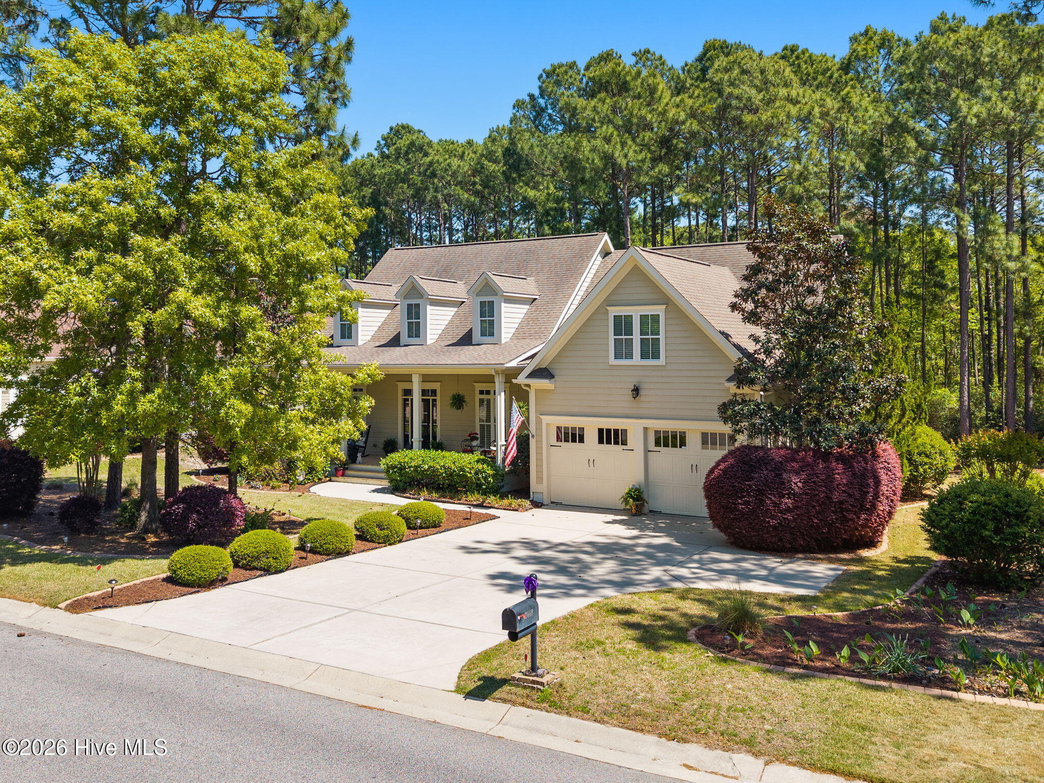 100567899 | Photo 11