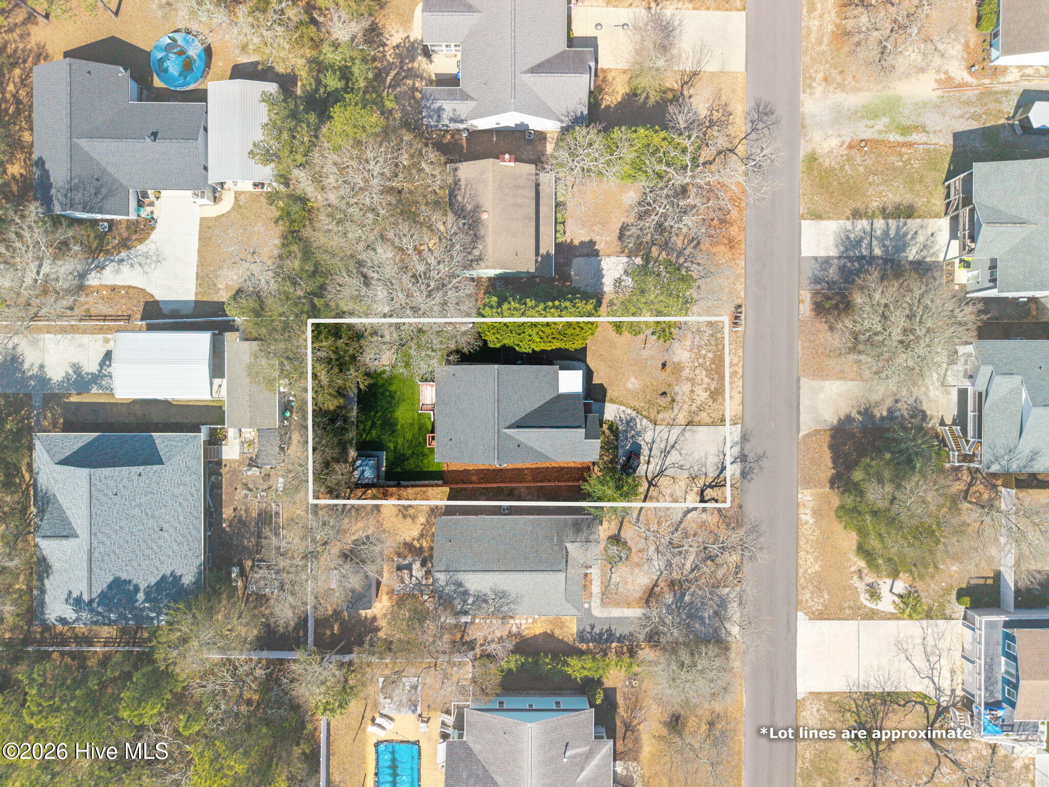 100559319 | Photo 38