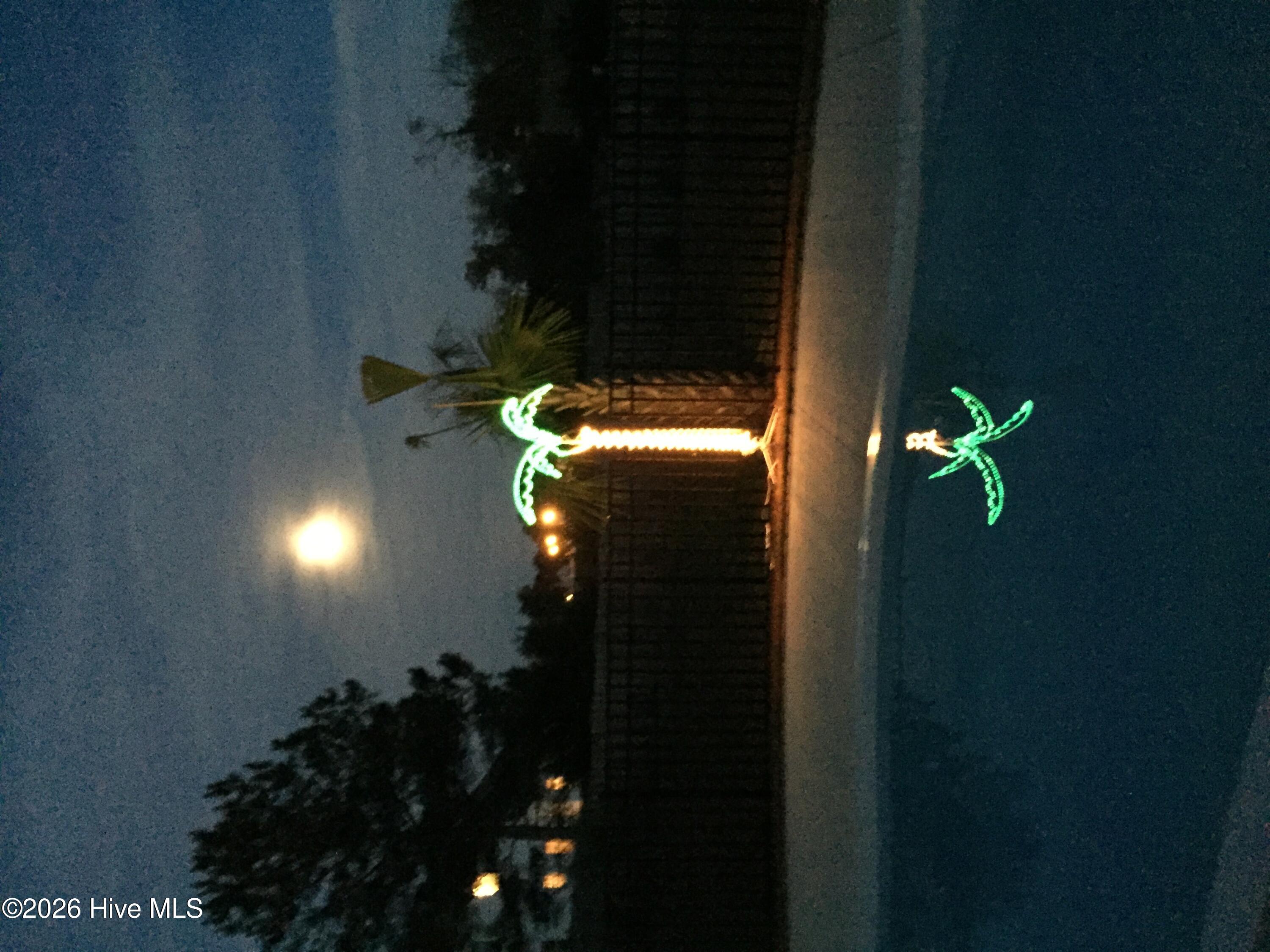 100570536 | Photo 60