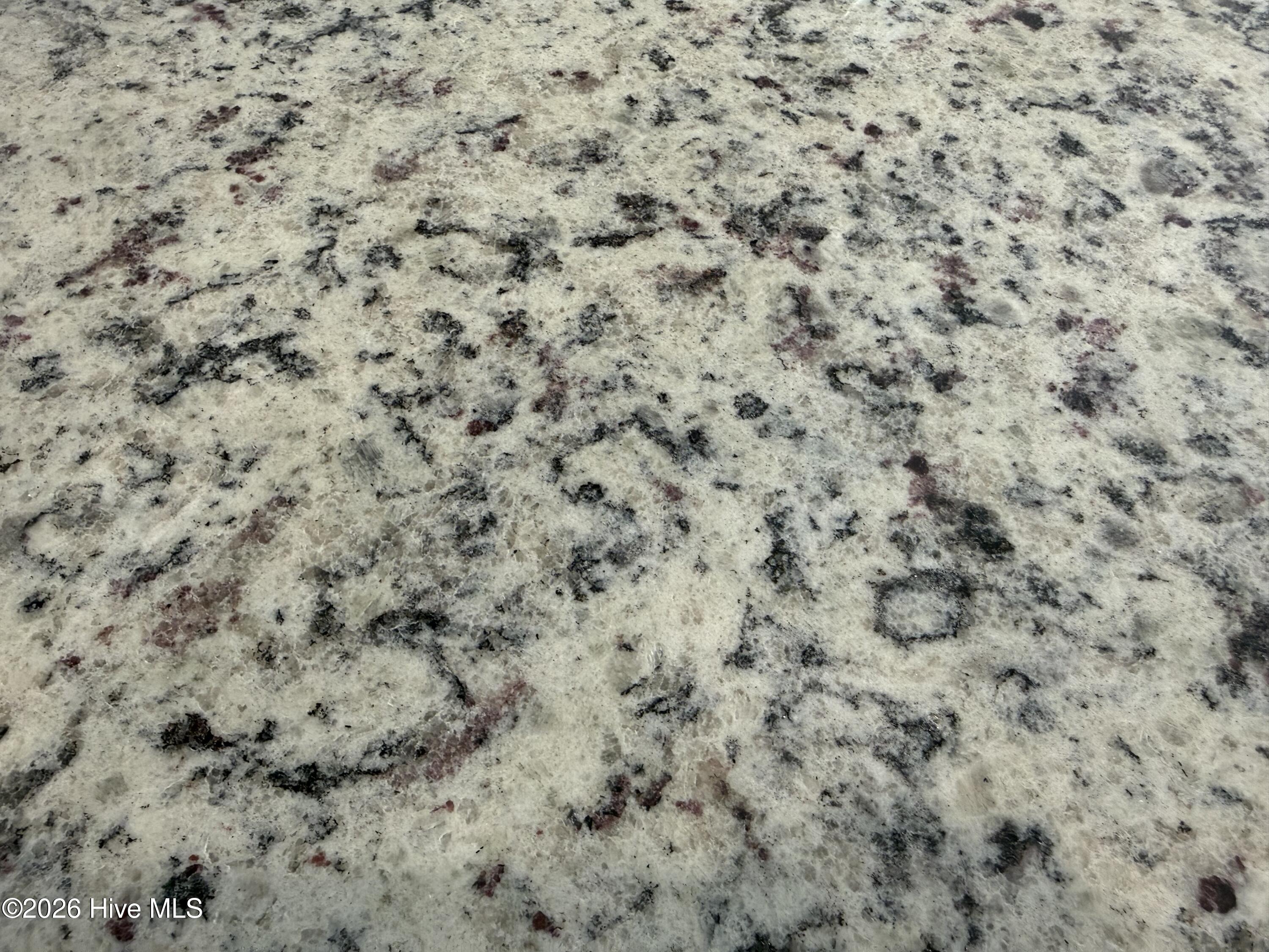 100546686 | Photo 23