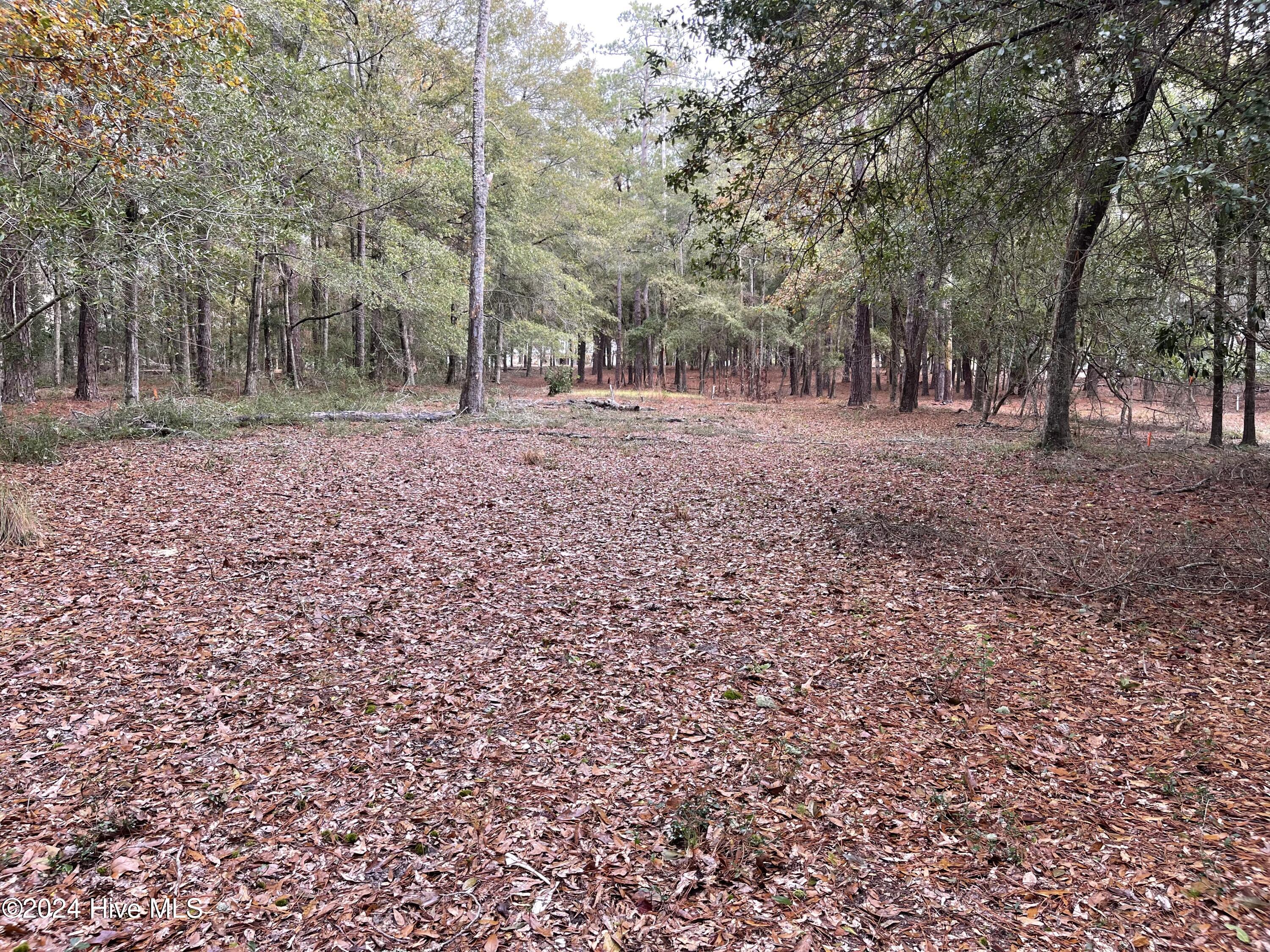 100481360 | Photo 31