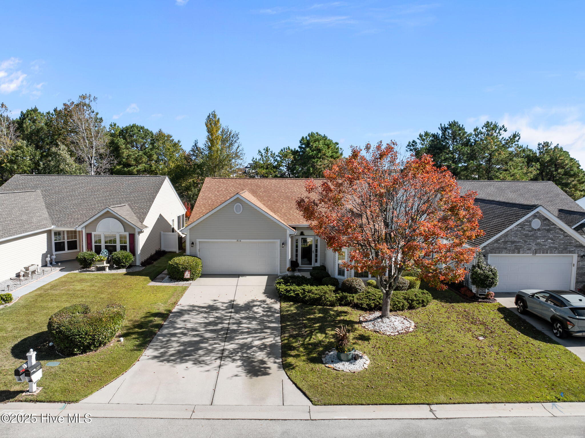 100540137 | Photo 39