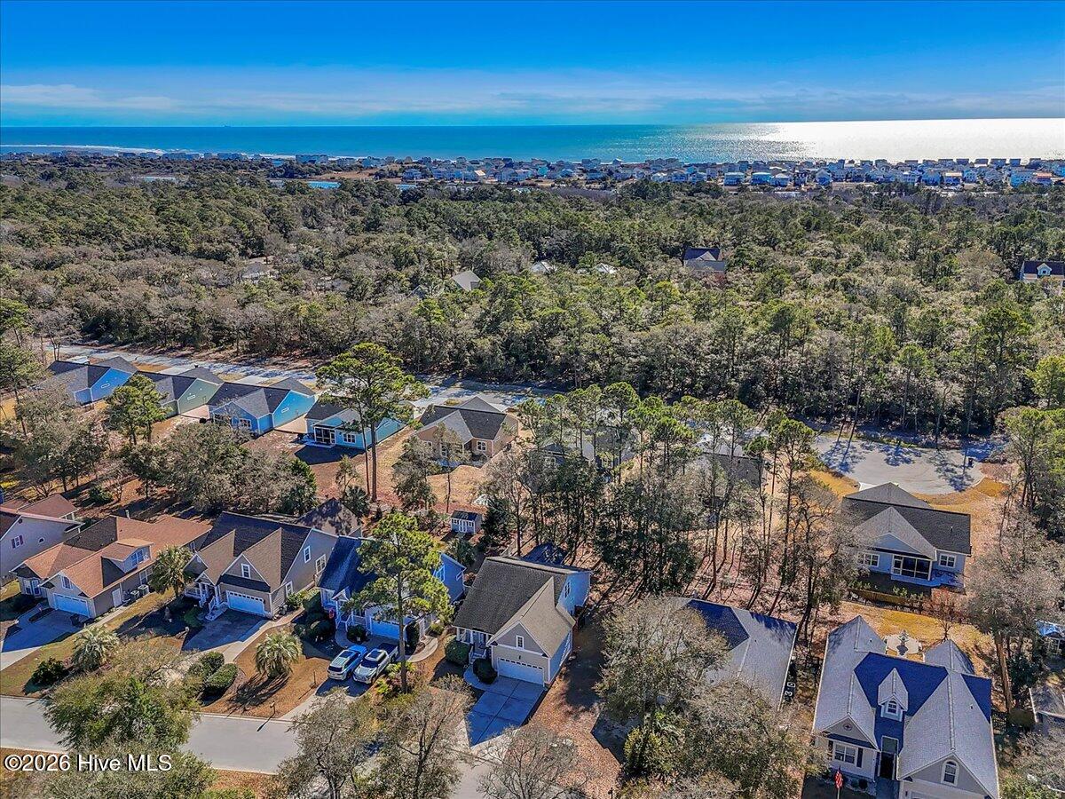 100550365 | Photo 61