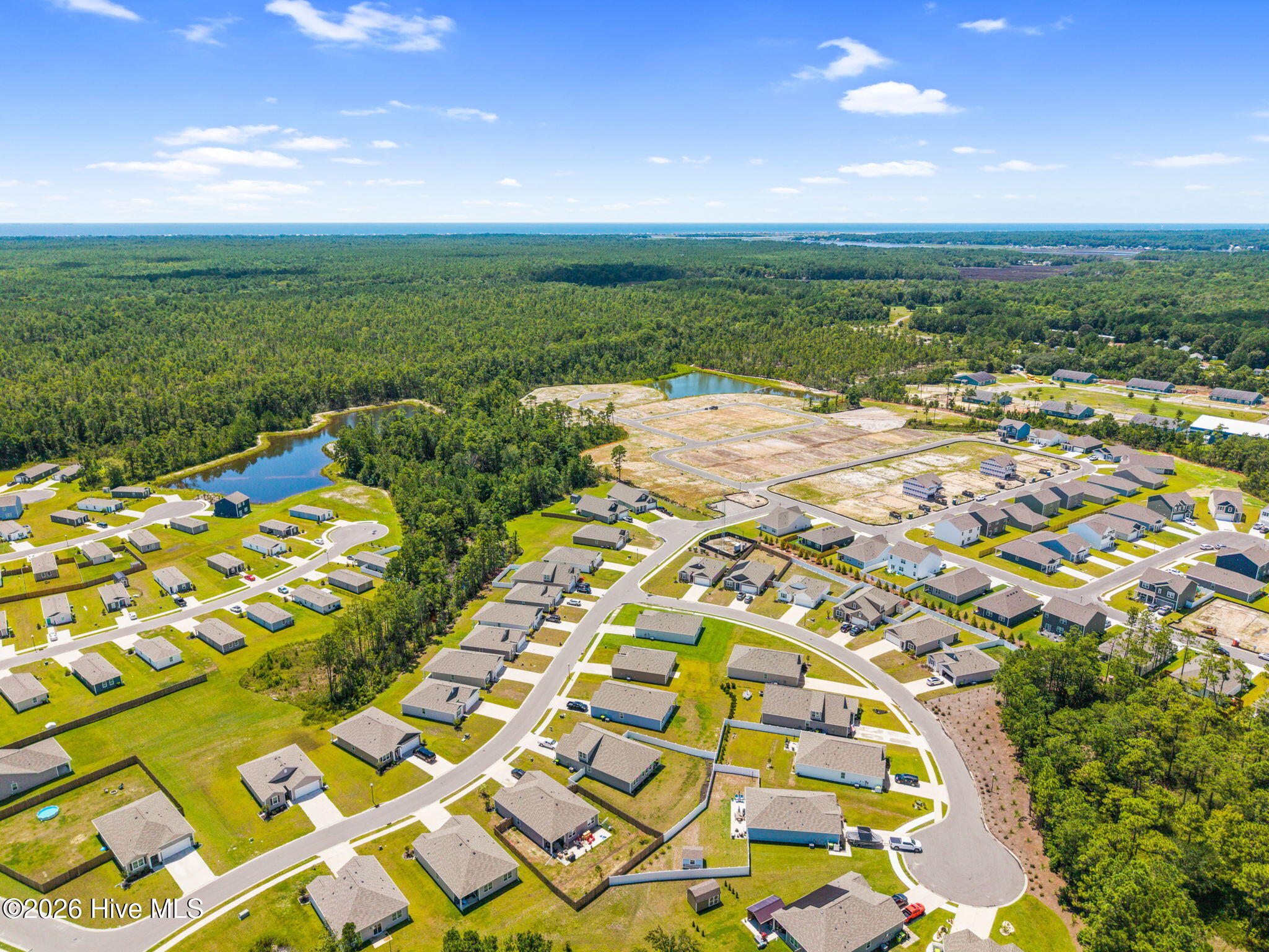 100556458 | Photo 43