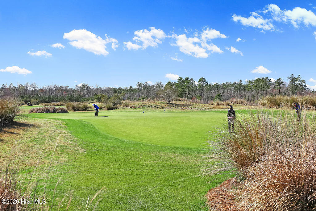 100565145 | Photo 56