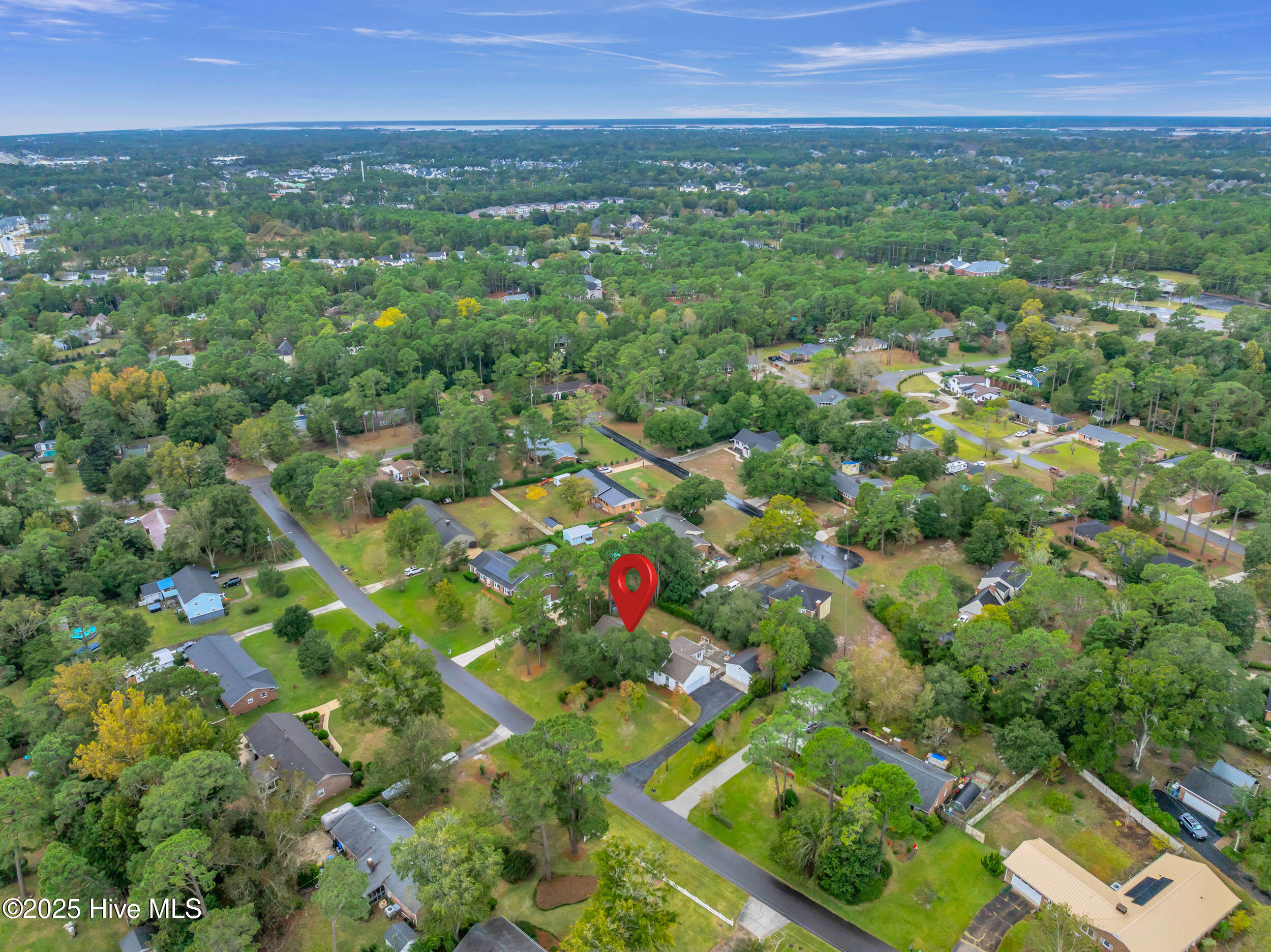 100538722 | Photo 45