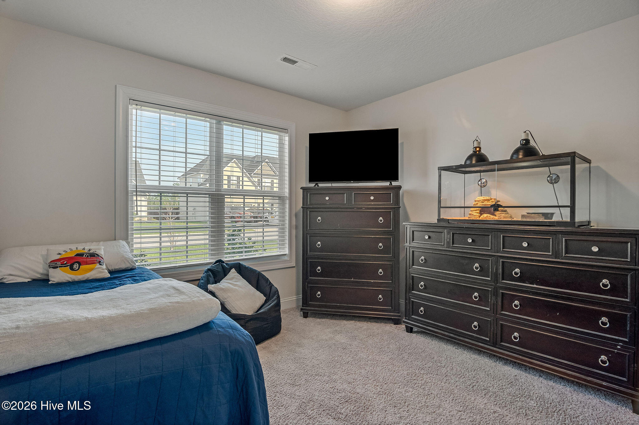 100568428 | Photo 38