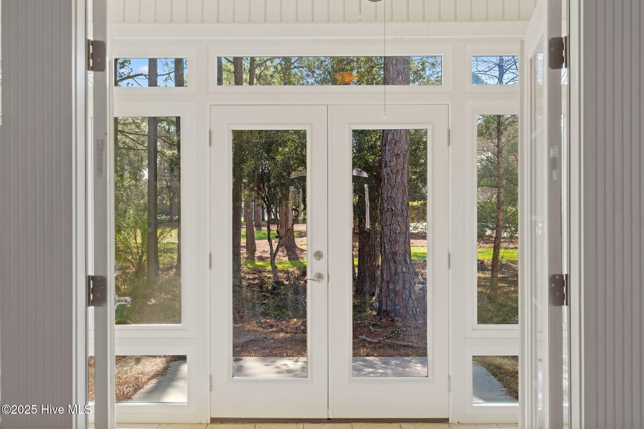 100541606 | Photo 22