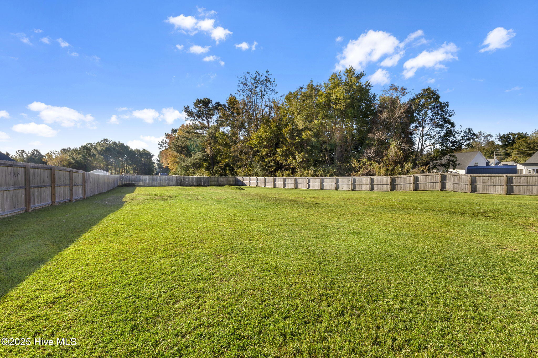 100538262 | Photo 42