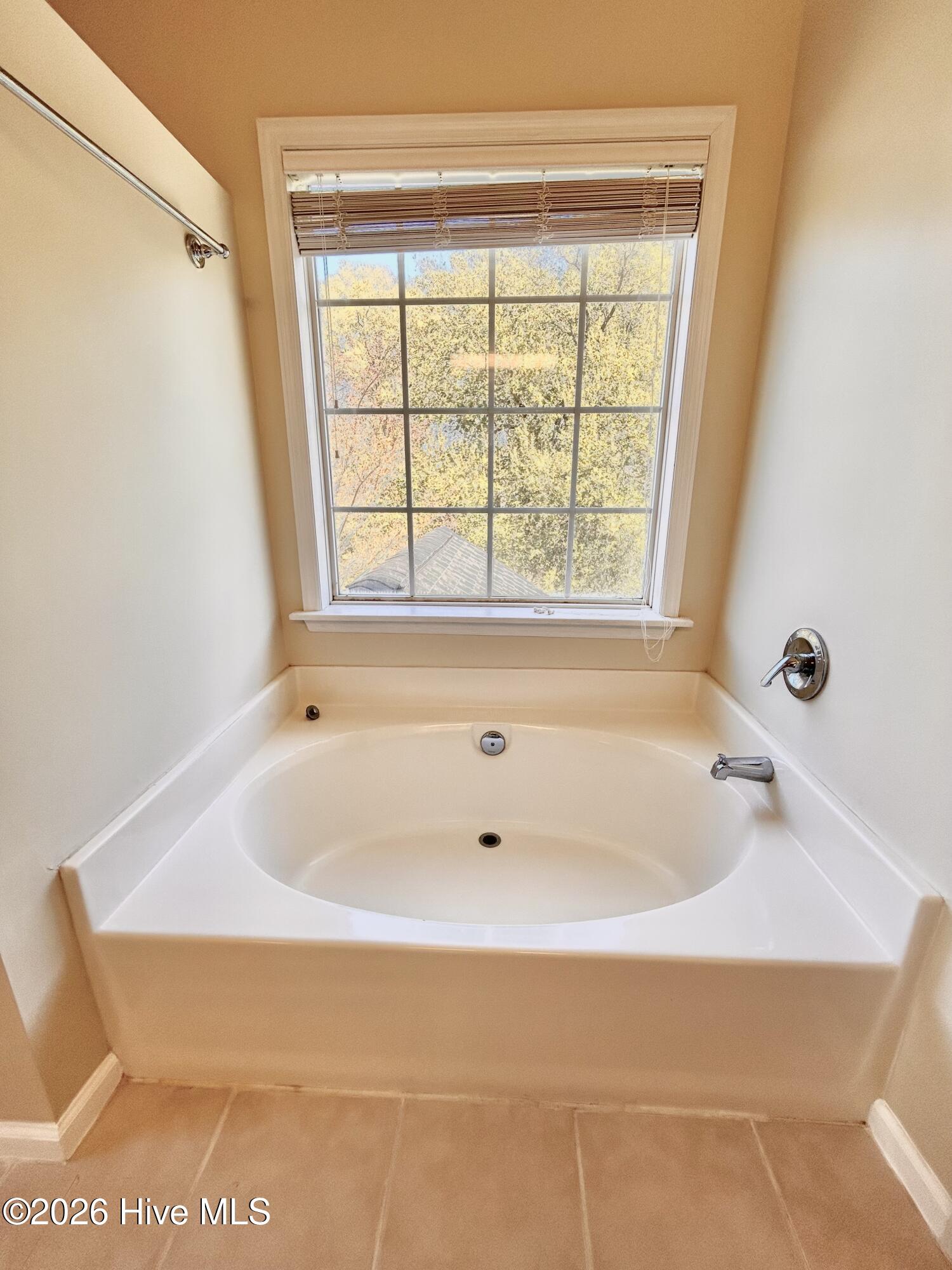 100564341 | Photo 27