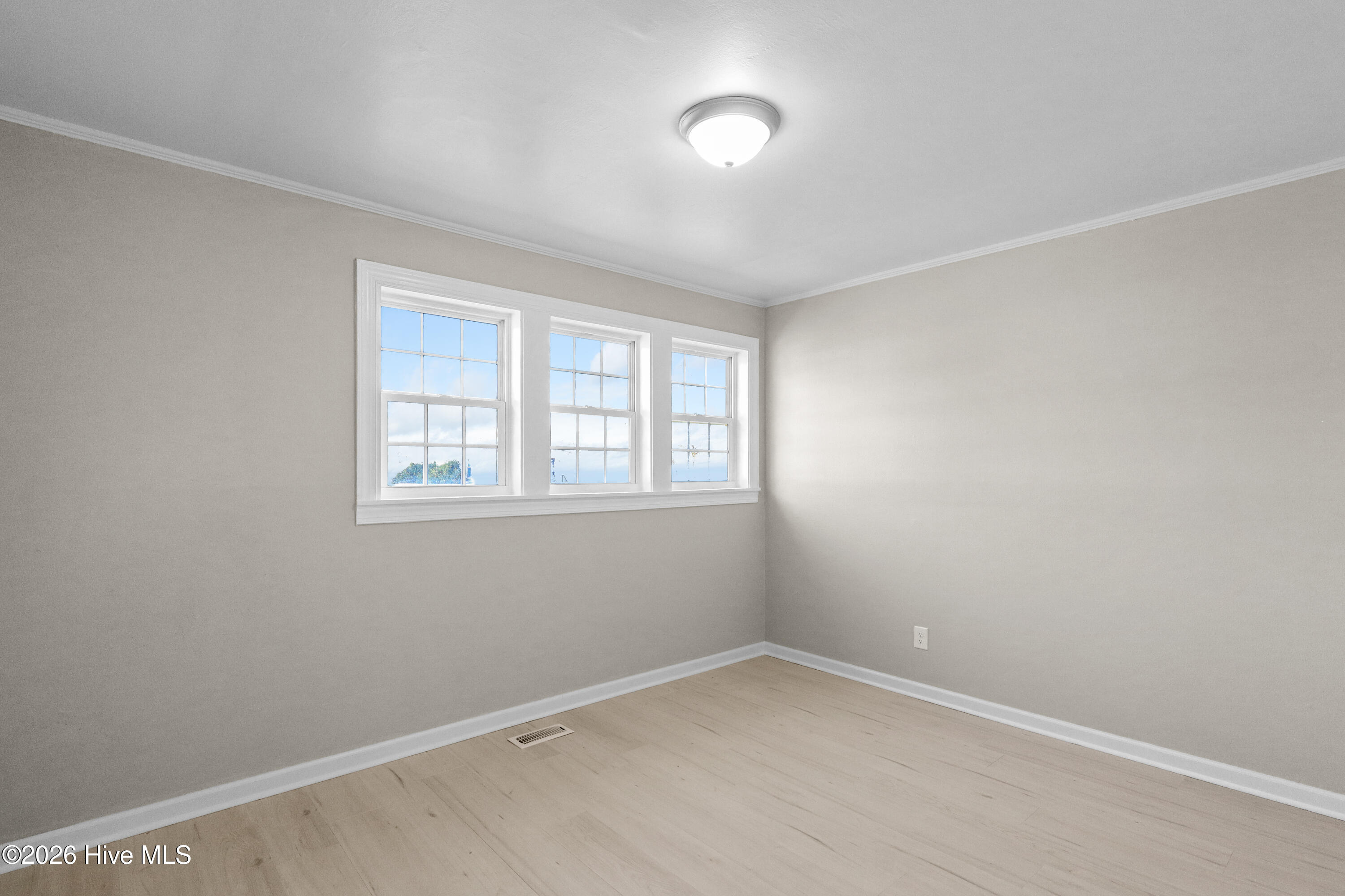 100563835 | Photo 17