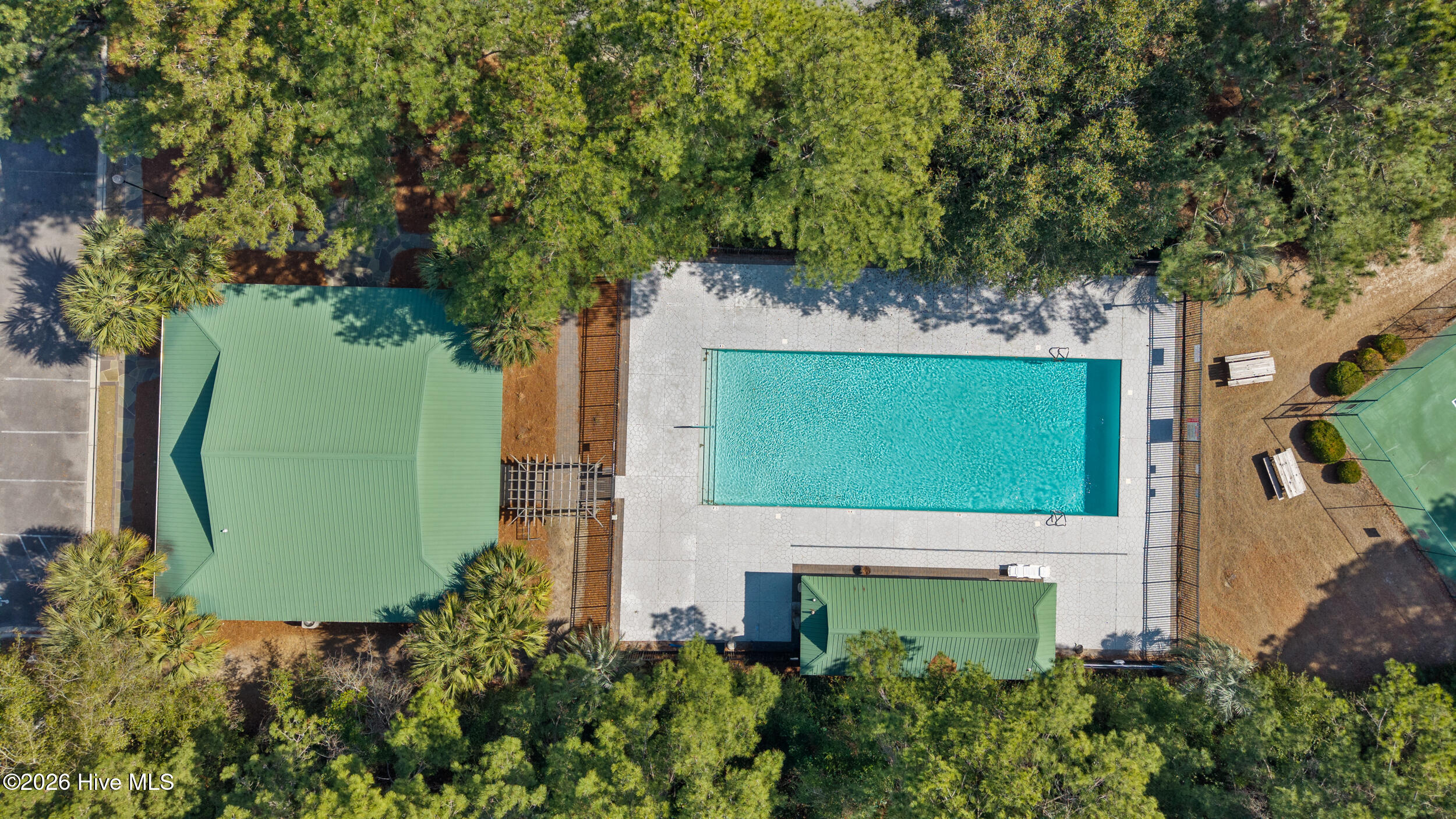 100558582 | Photo 61