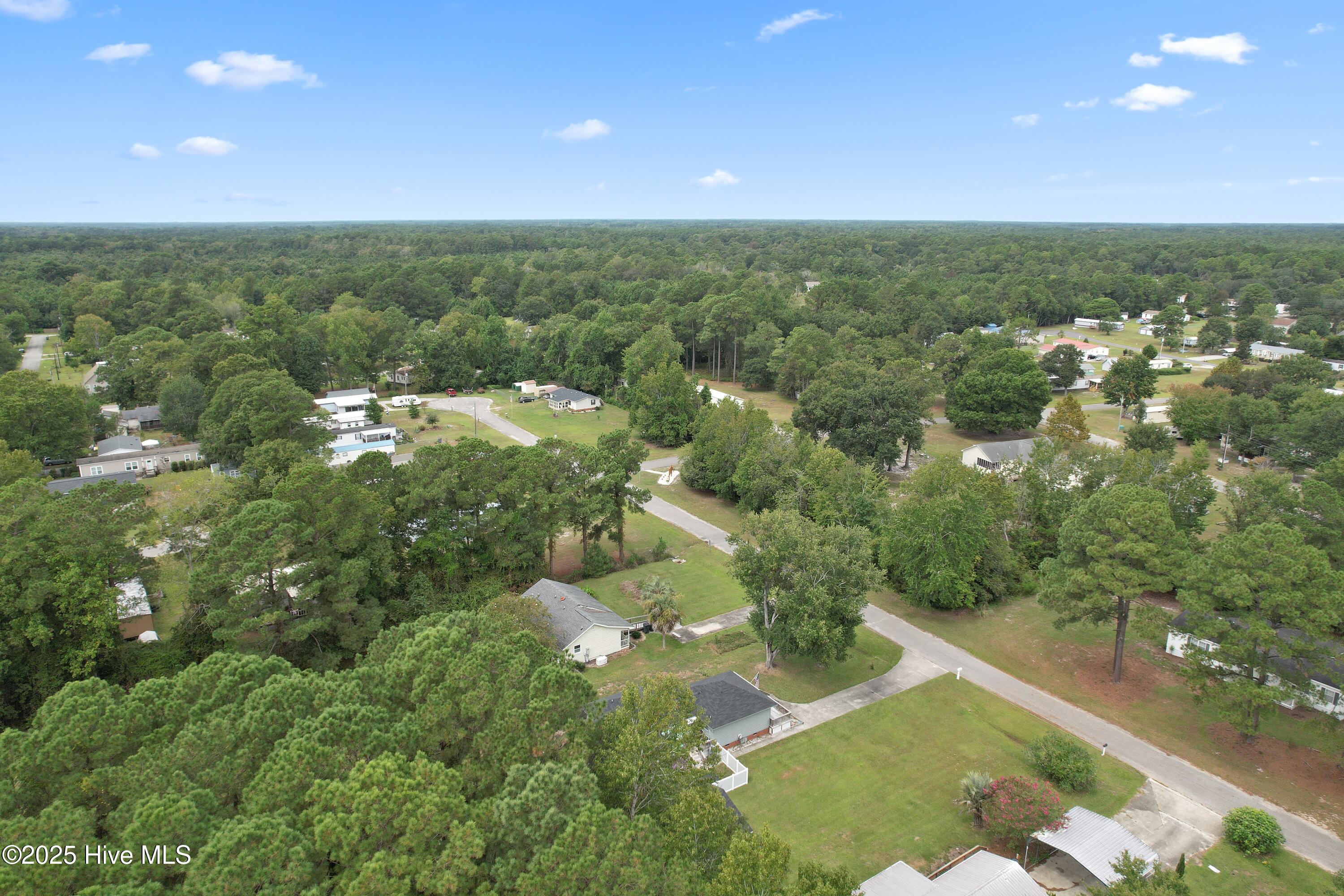 100530130 | Photo 47